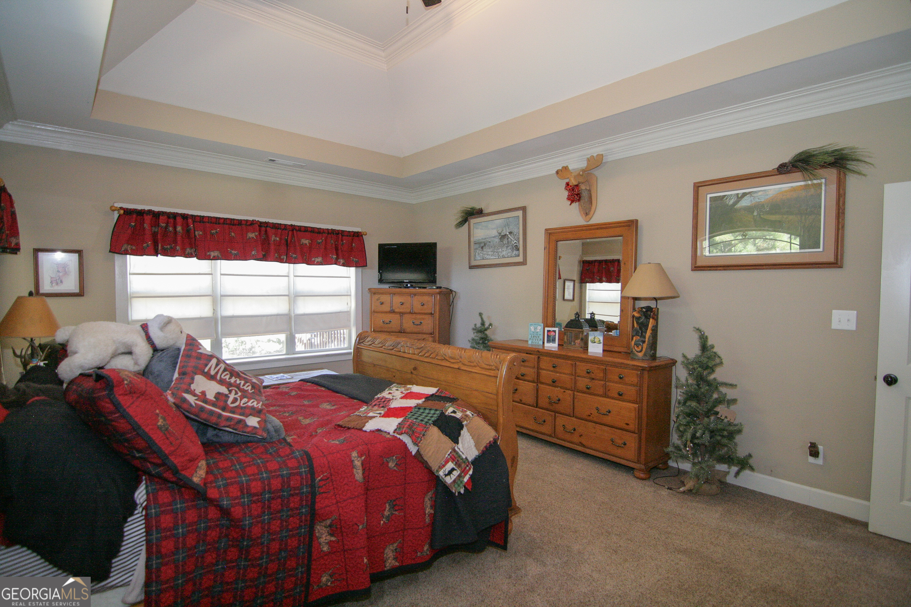 25 Magnolia Place Court Senoia GA 30276