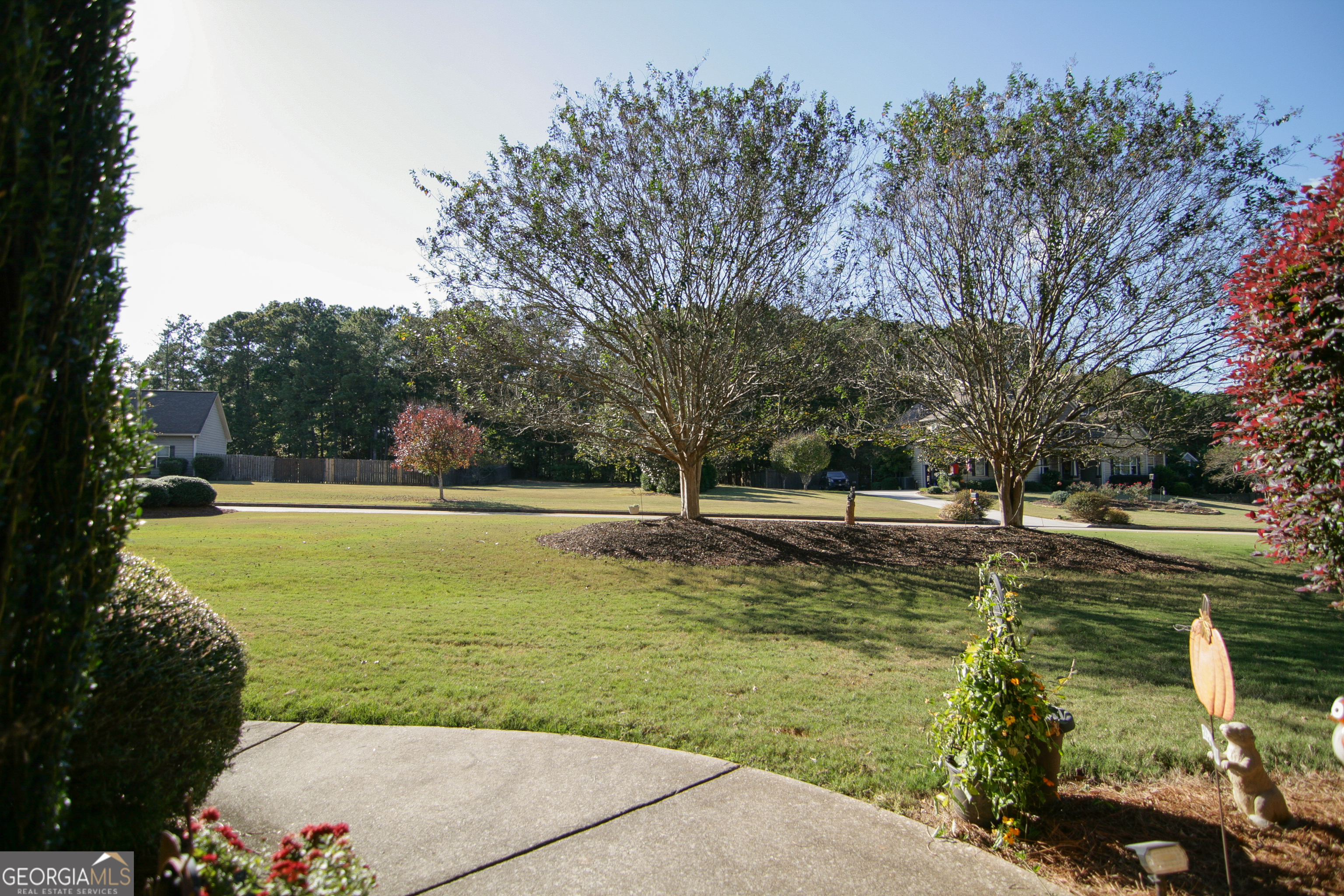 25 Magnolia Place Court Senoia GA 30276