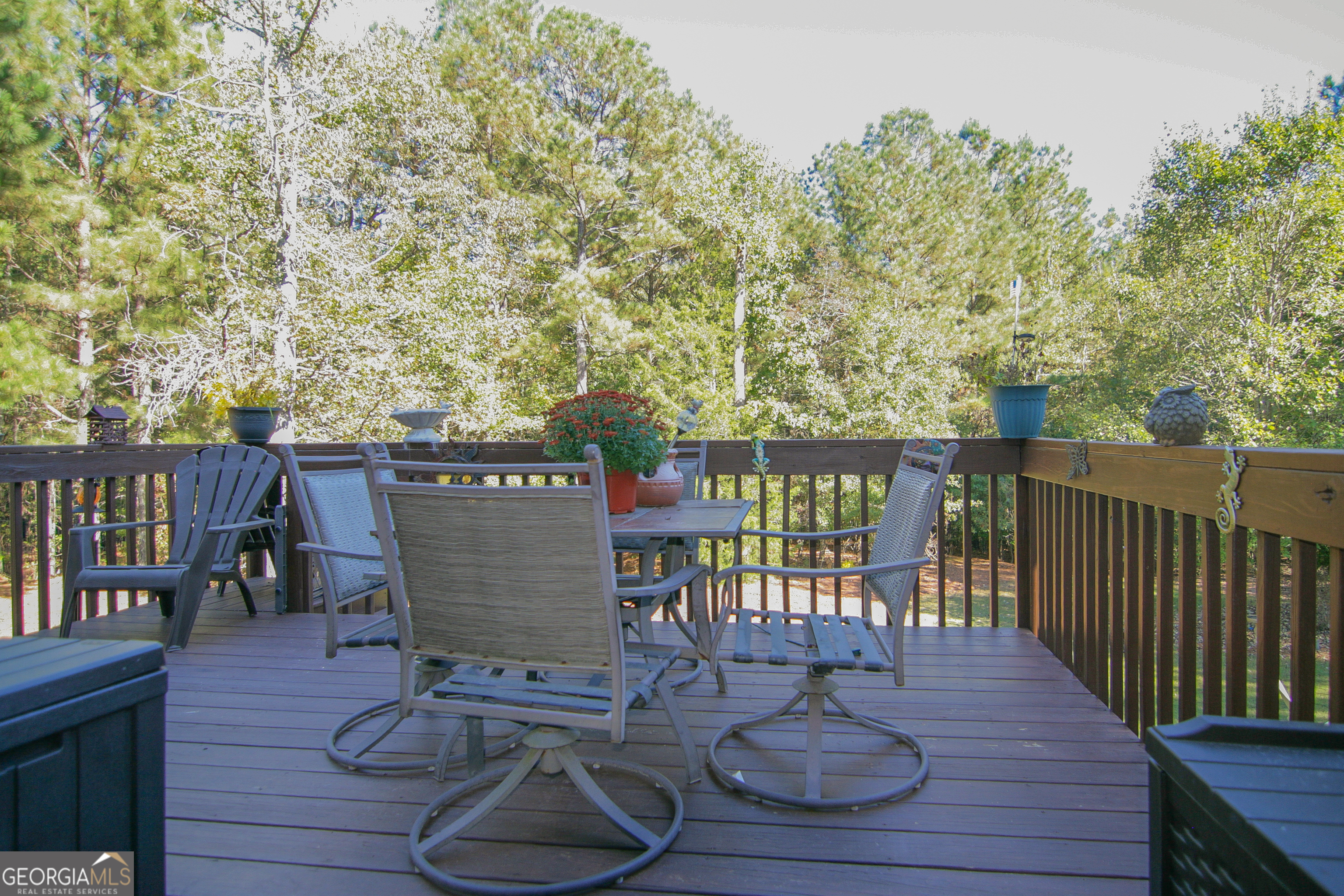 25 Magnolia Place Court Senoia GA 30276