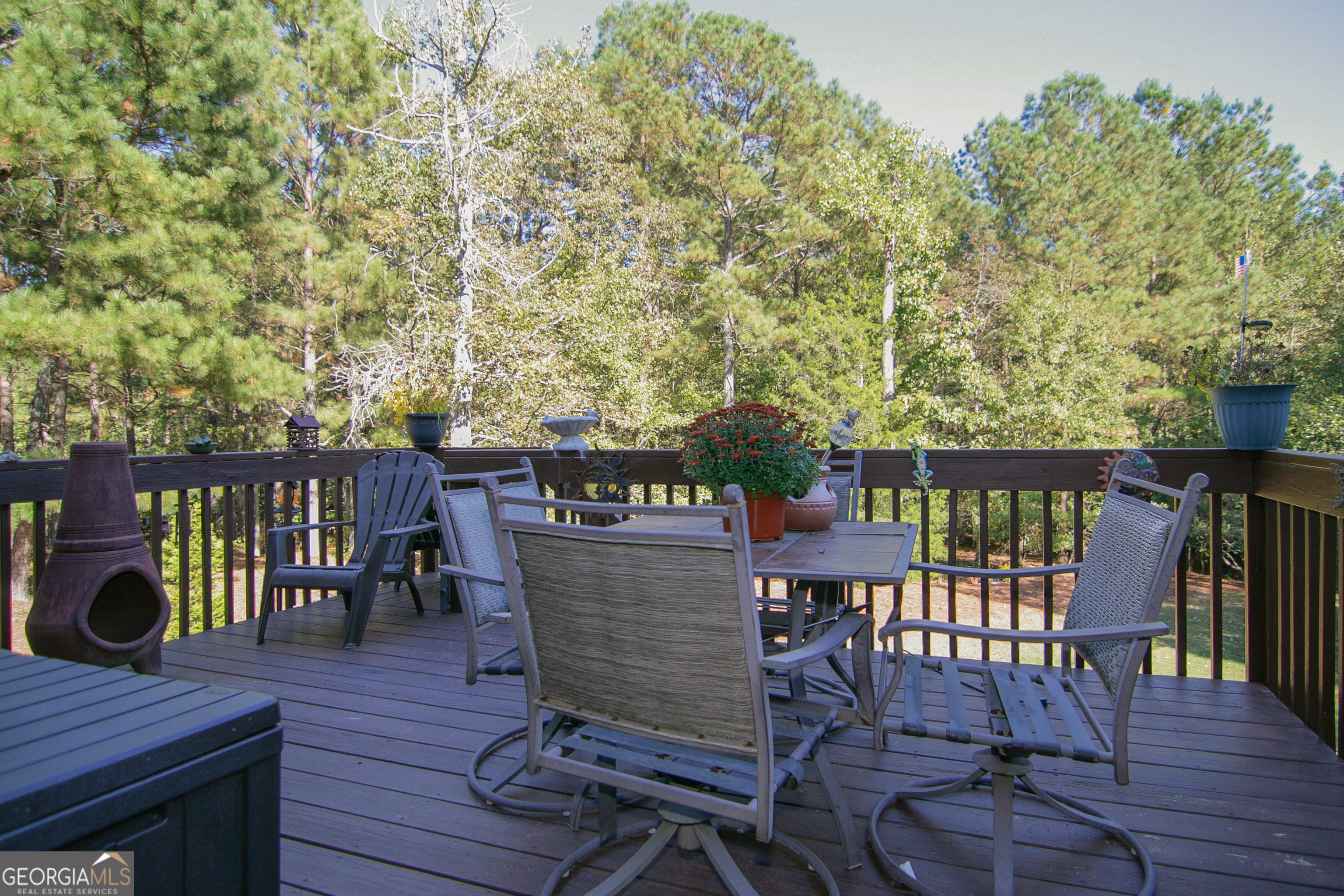 25 Magnolia Place Court Senoia GA 30276