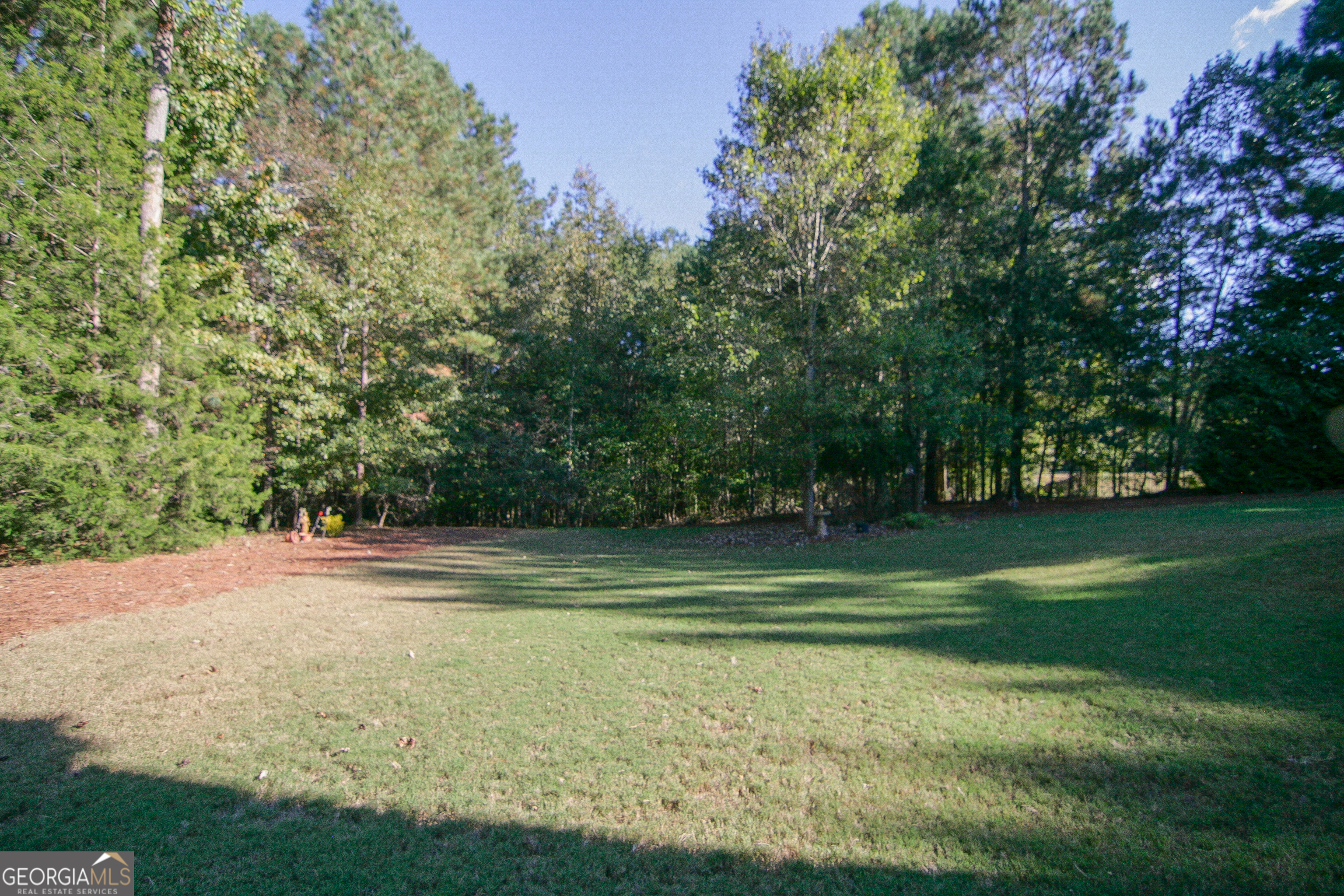 25 Magnolia Place Court Senoia GA 30276