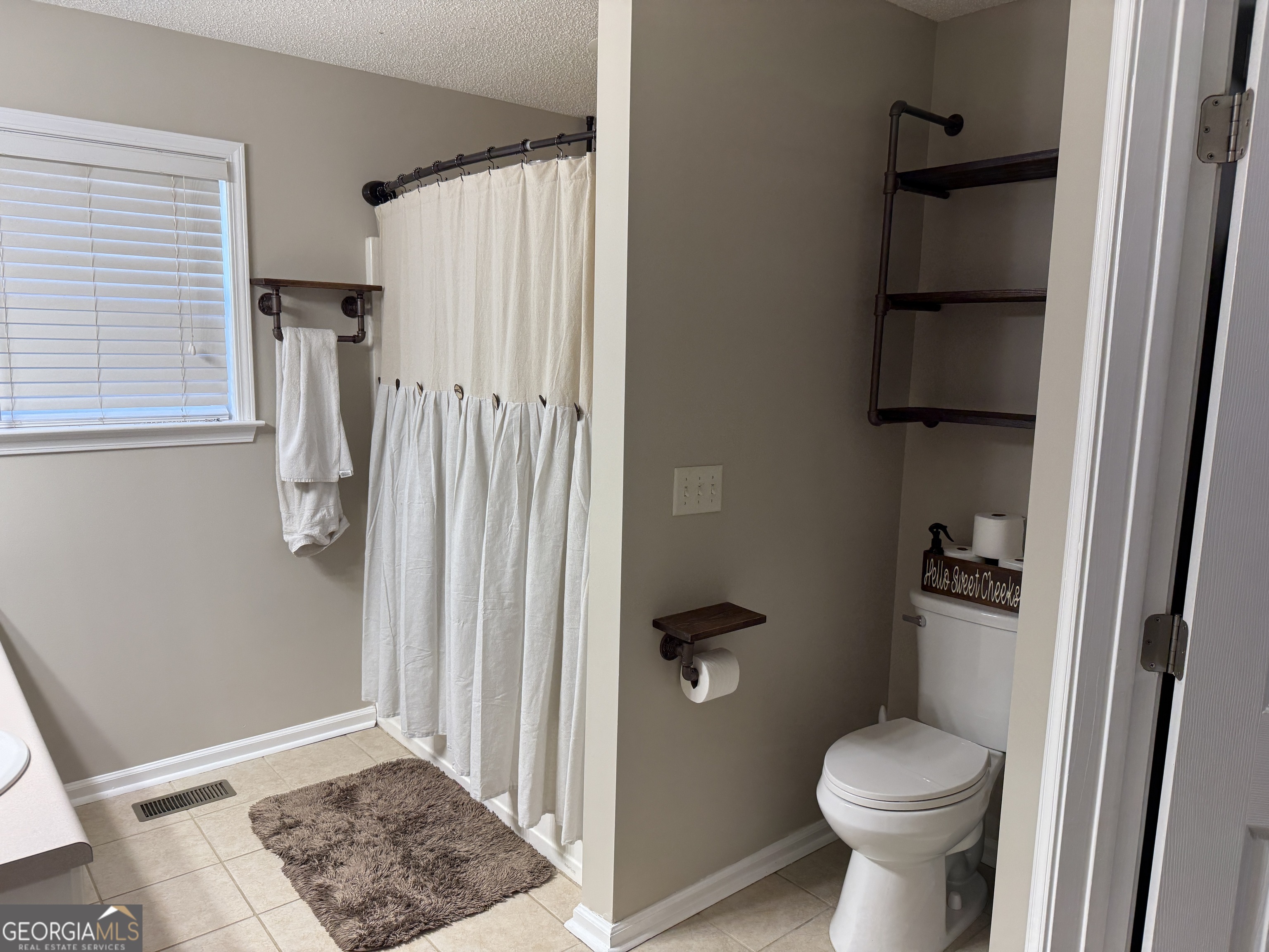 71 Williamson Trace Williamson GA 30292