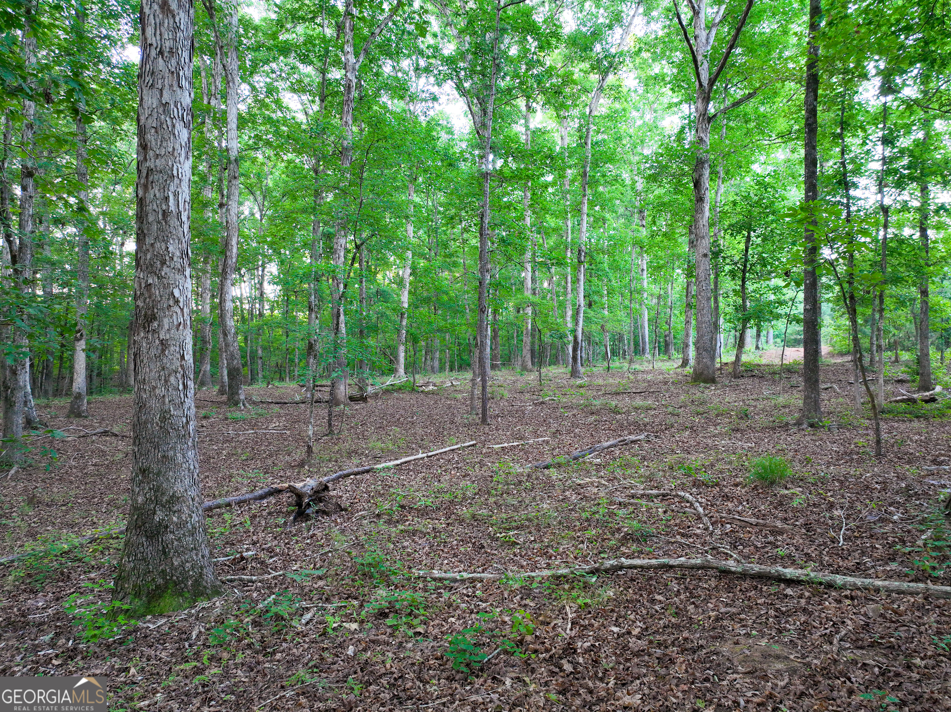 153 Lot 1 And 2 Highland Circle Flovilla GA 30216