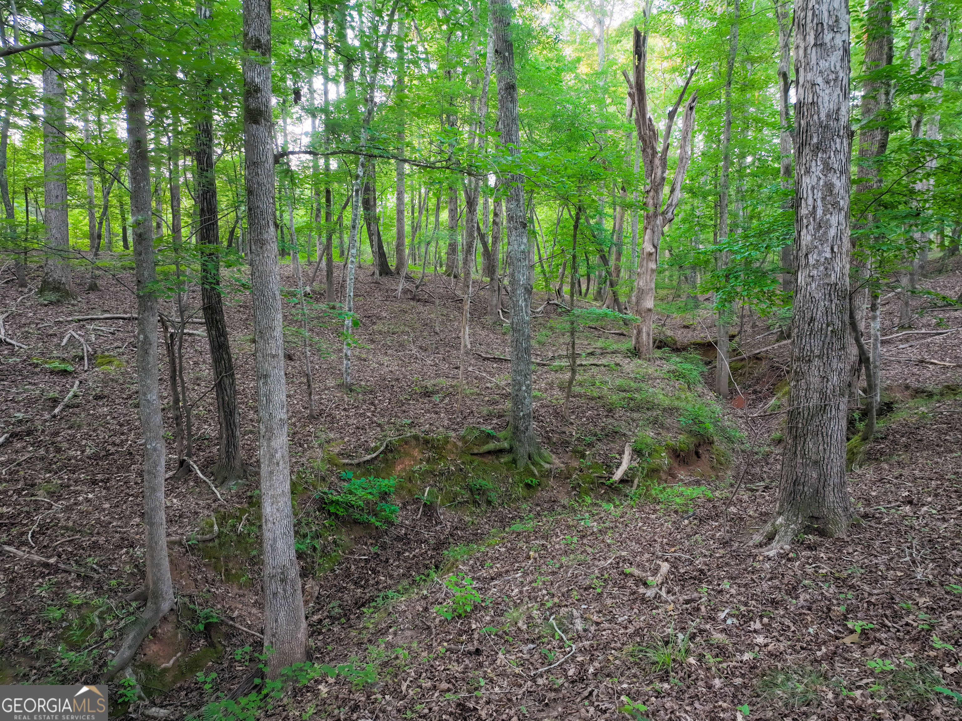 153 Lot 1 And 2 Highland Circle Flovilla GA 30216