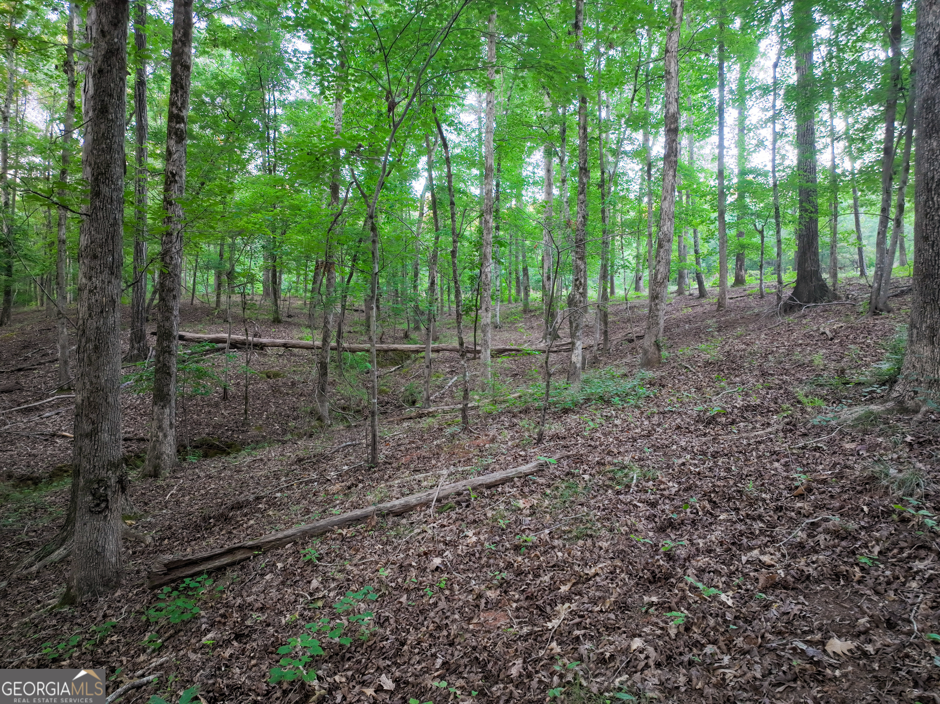153 Lot 1 And 2 Highland Circle Flovilla GA 30216
