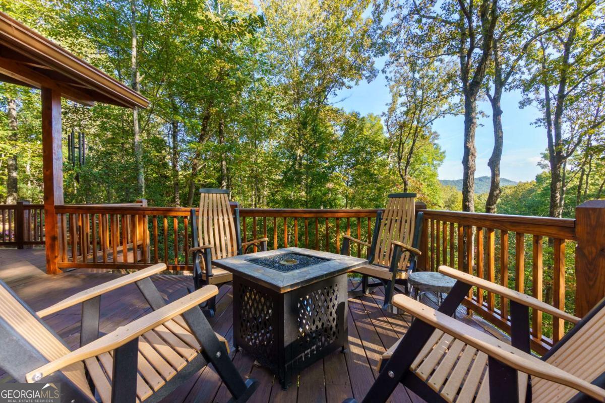 24 Casey Court Blue Ridge GA 30513