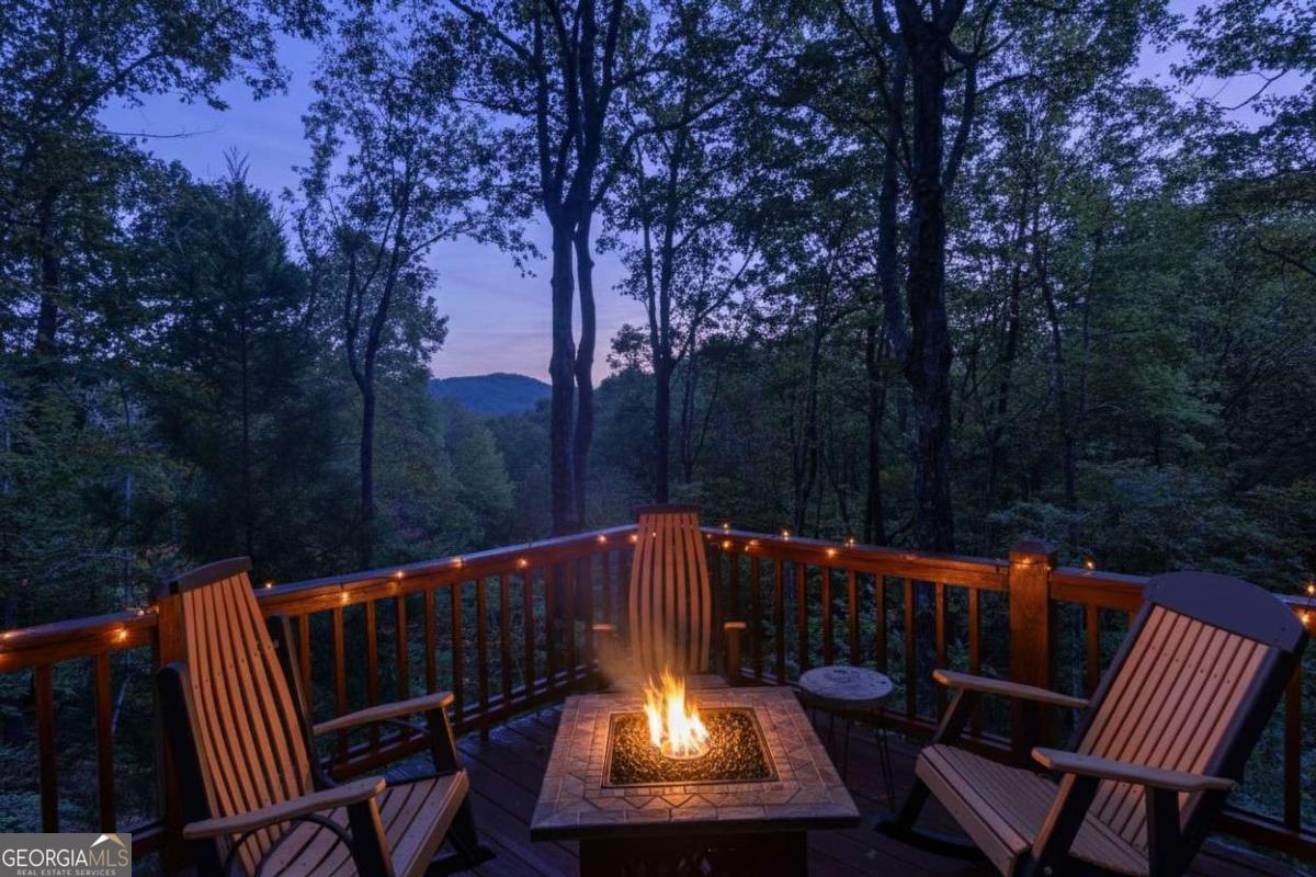 24 Casey Court Blue Ridge GA 30513