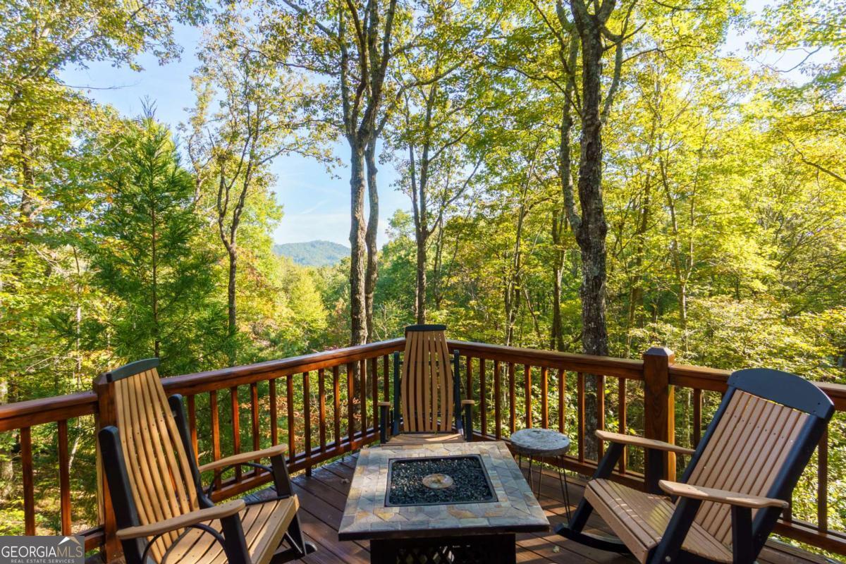 24 Casey Court Blue Ridge GA 30513