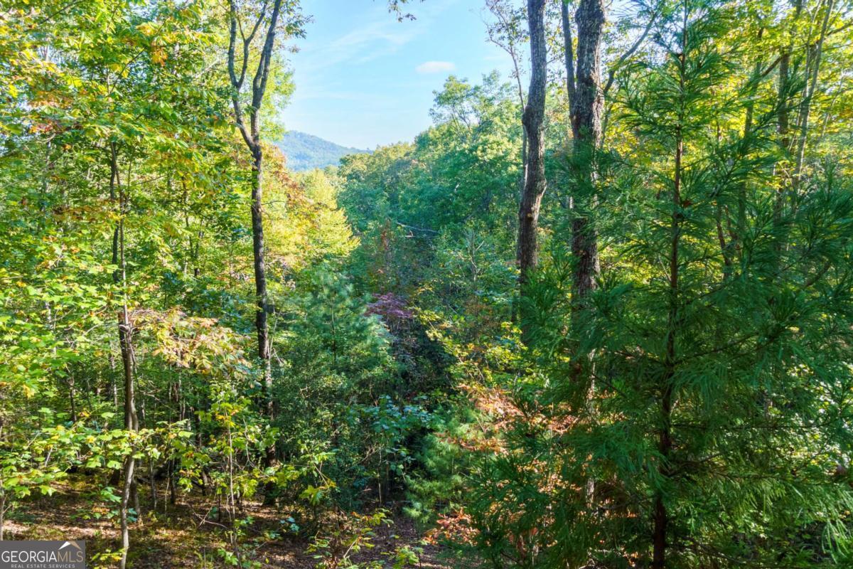 24 Casey Court Blue Ridge GA 30513