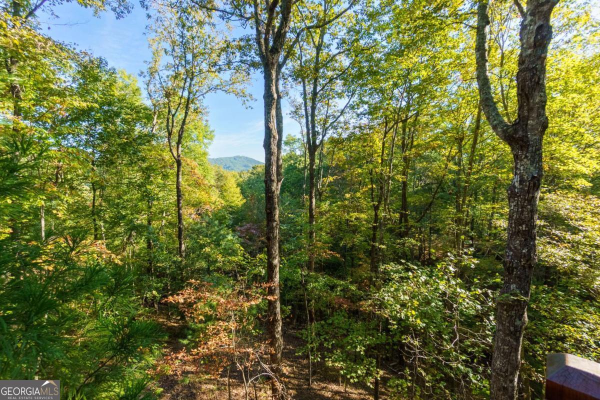 24 Casey Court Blue Ridge GA 30513