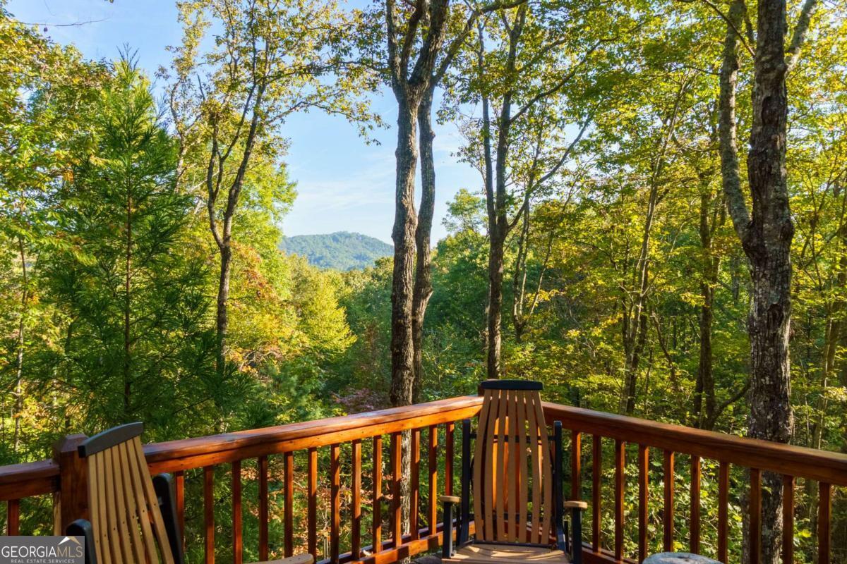24 Casey Court Blue Ridge GA 30513