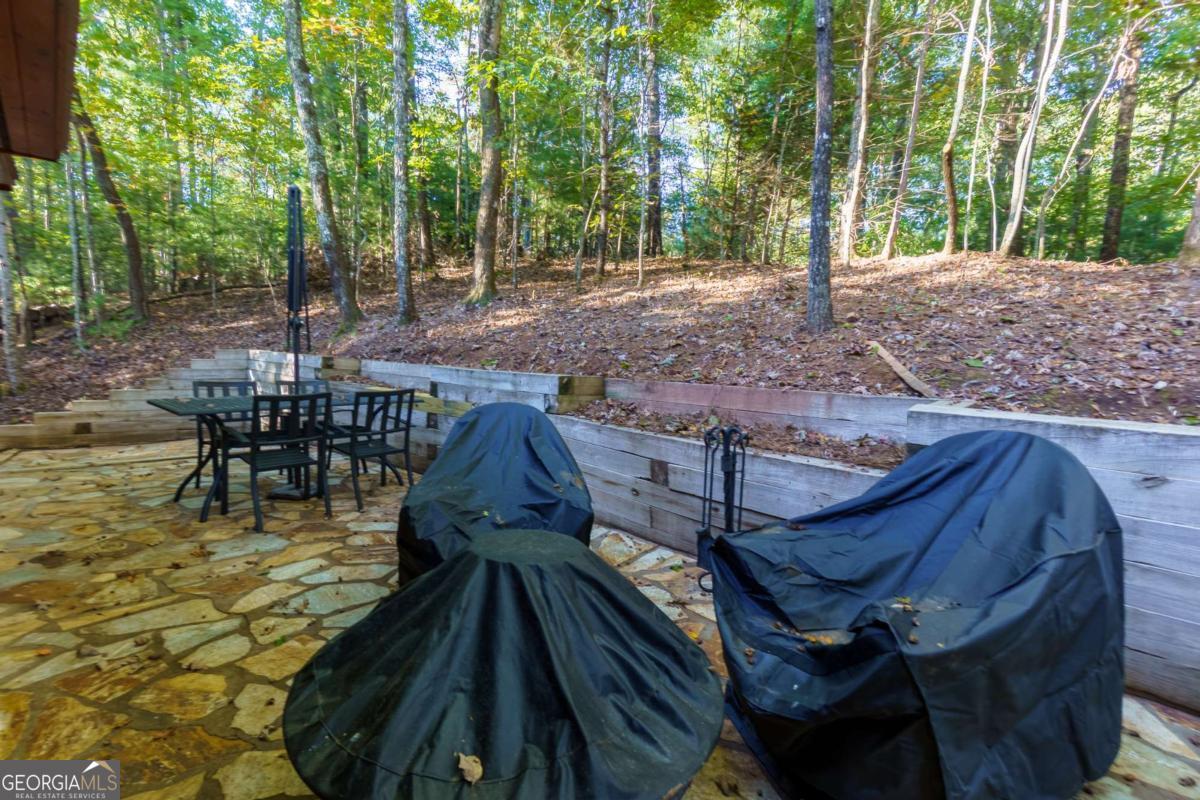 24 Casey Court Blue Ridge GA 30513