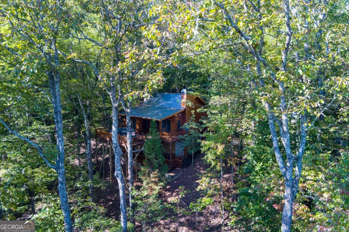 24 Casey Court Blue Ridge GA 30513