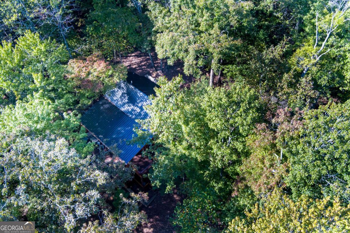 24 Casey Court Blue Ridge GA 30513