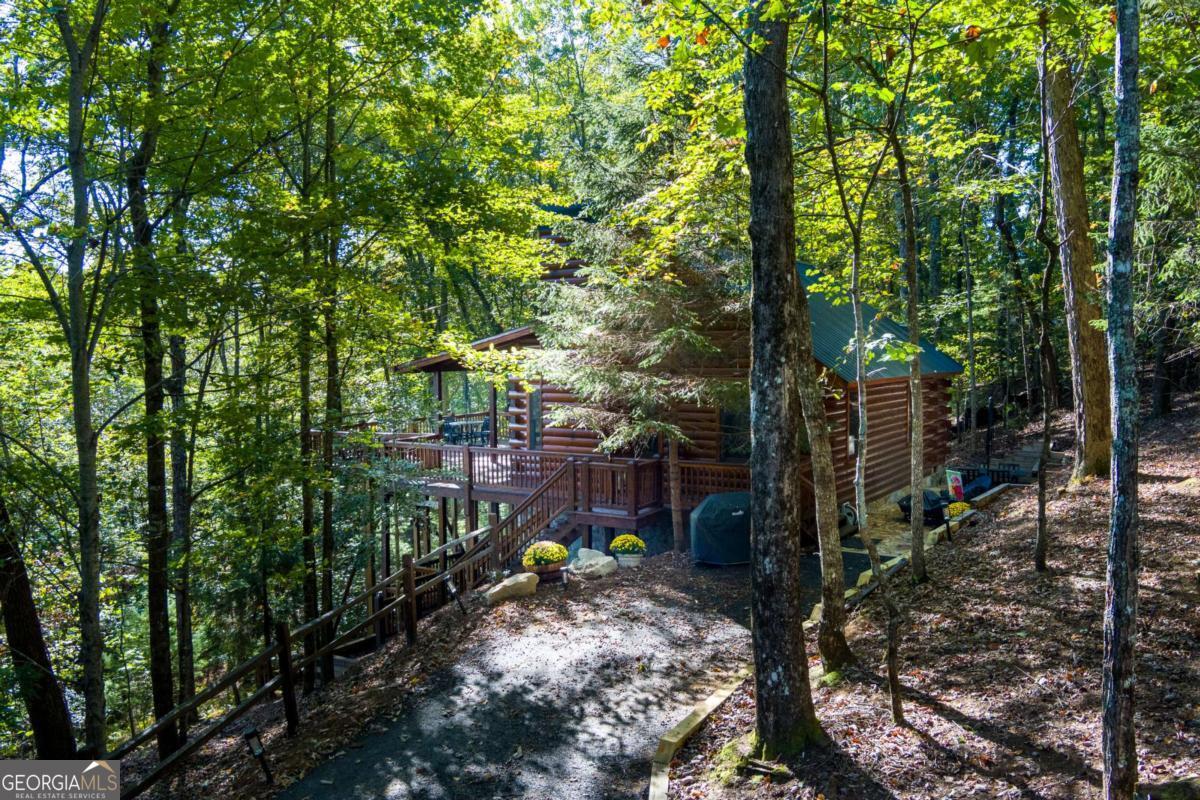 24 Casey Court Blue Ridge GA 30513