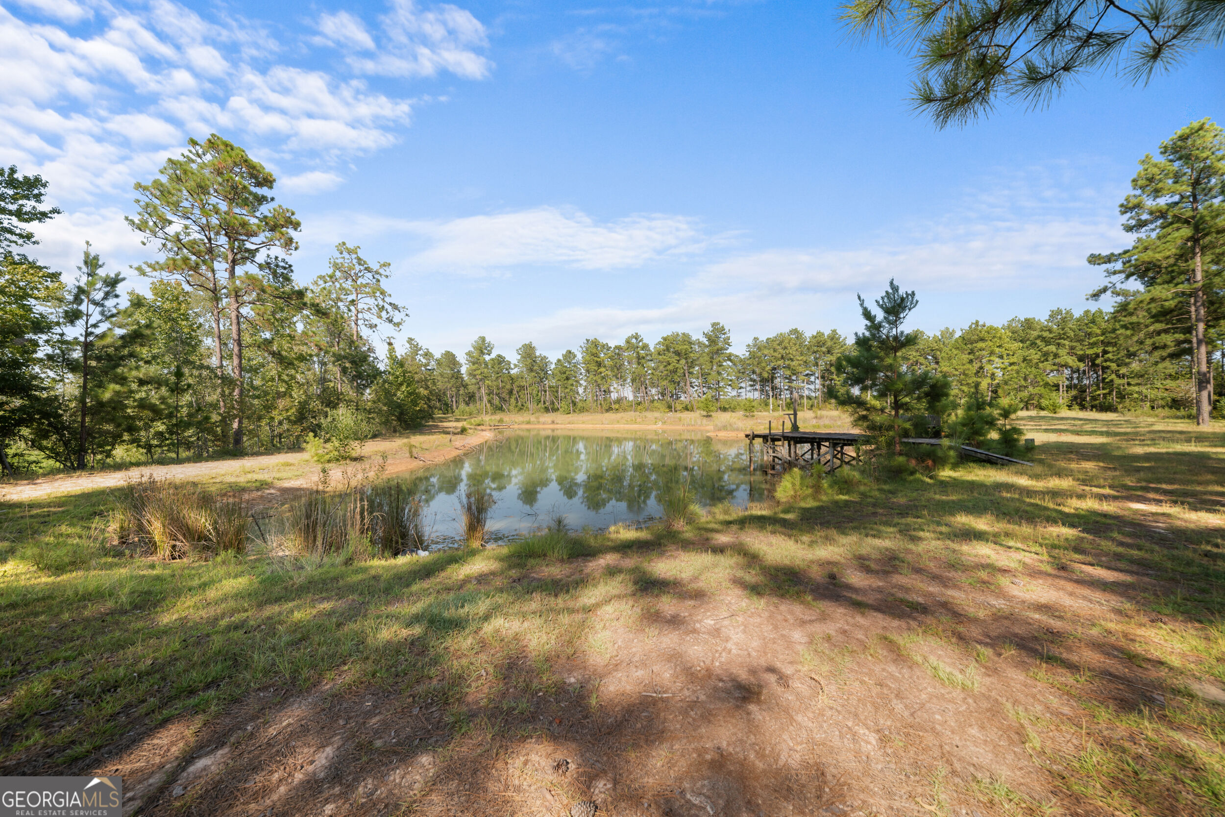 435 Canoochee Bypass Midville GA 30441