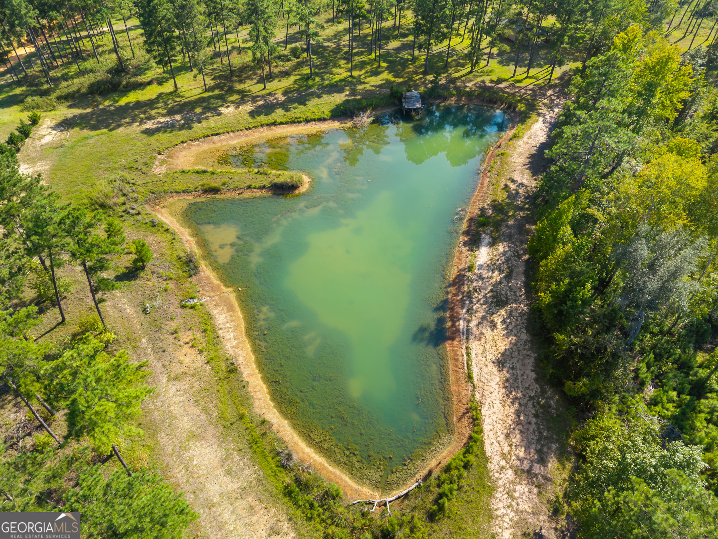 435 Canoochee Bypass Midville GA 30441