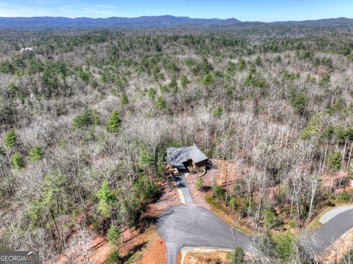 466 E Watersong Bluff Ellijay GA 30540