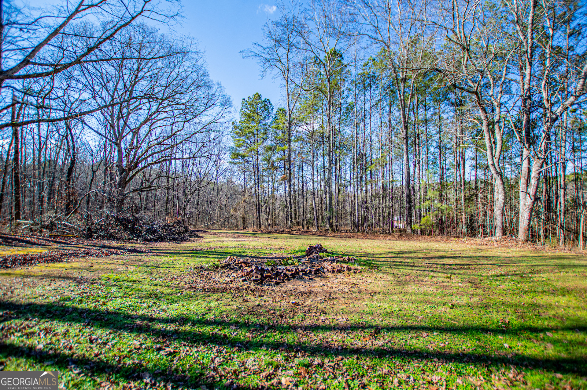 3646 Jones Mill Road Carrollton GA 30116