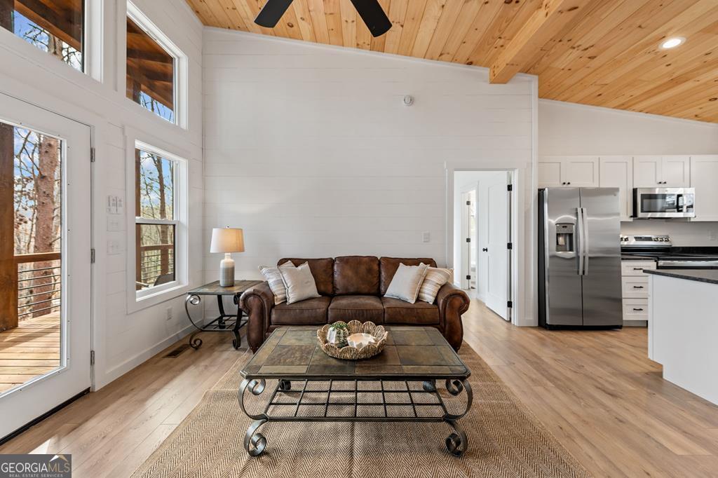 85 Duck Cove Morganton GA 30560
