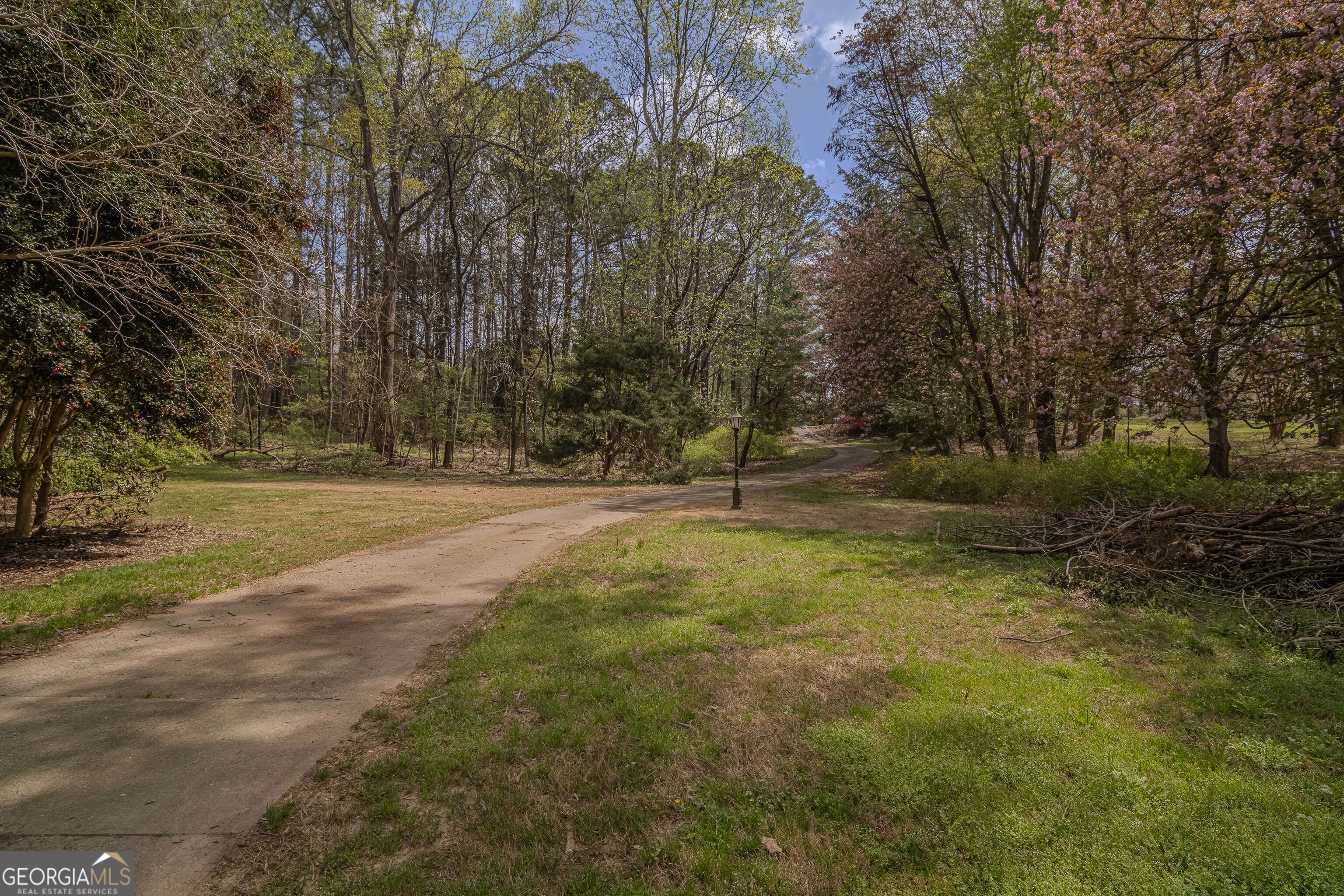 2265 Castle Lake Drive Tyrone GA 30290