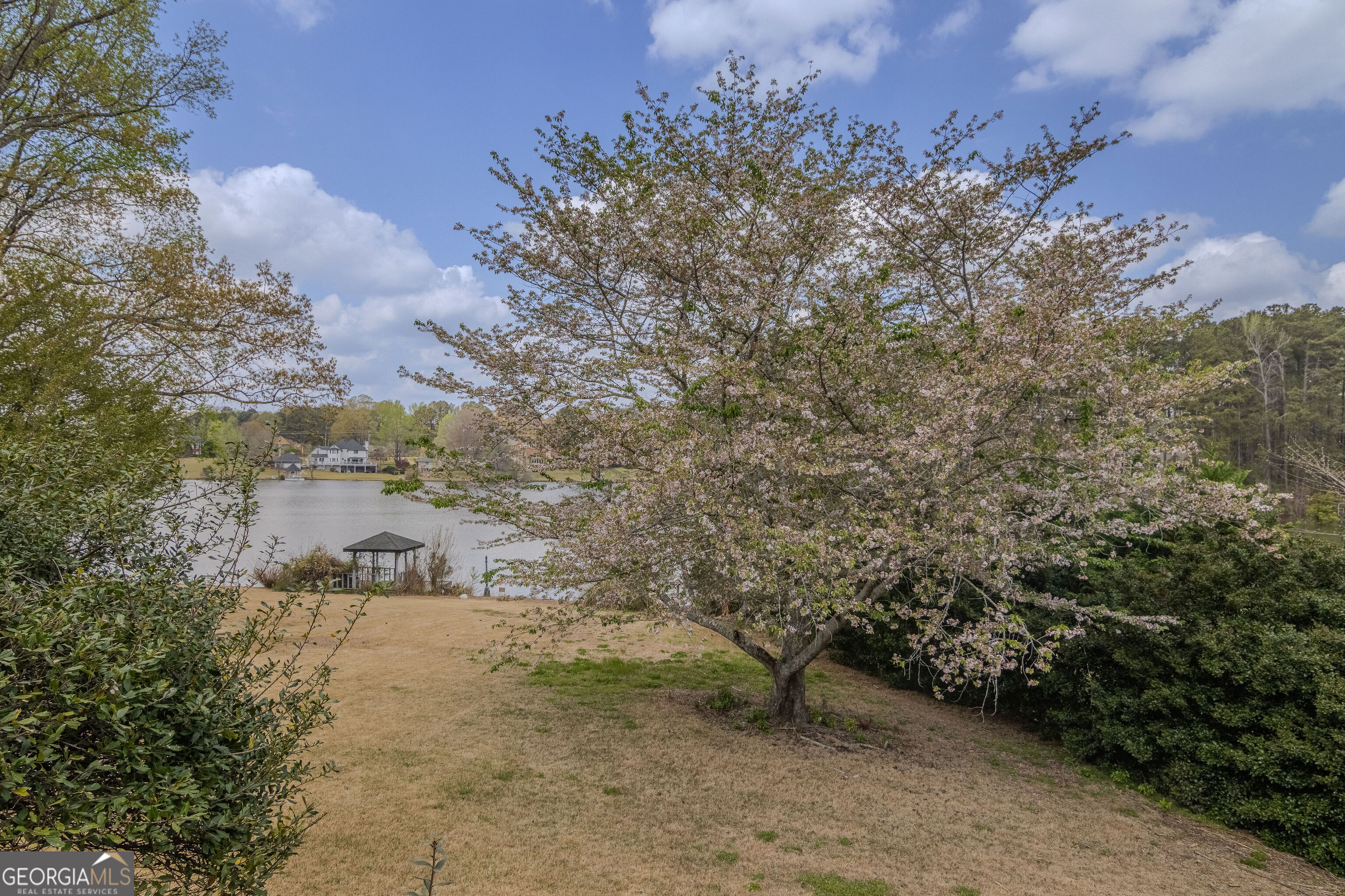 2265 Castle Lake Drive Tyrone GA 30290
