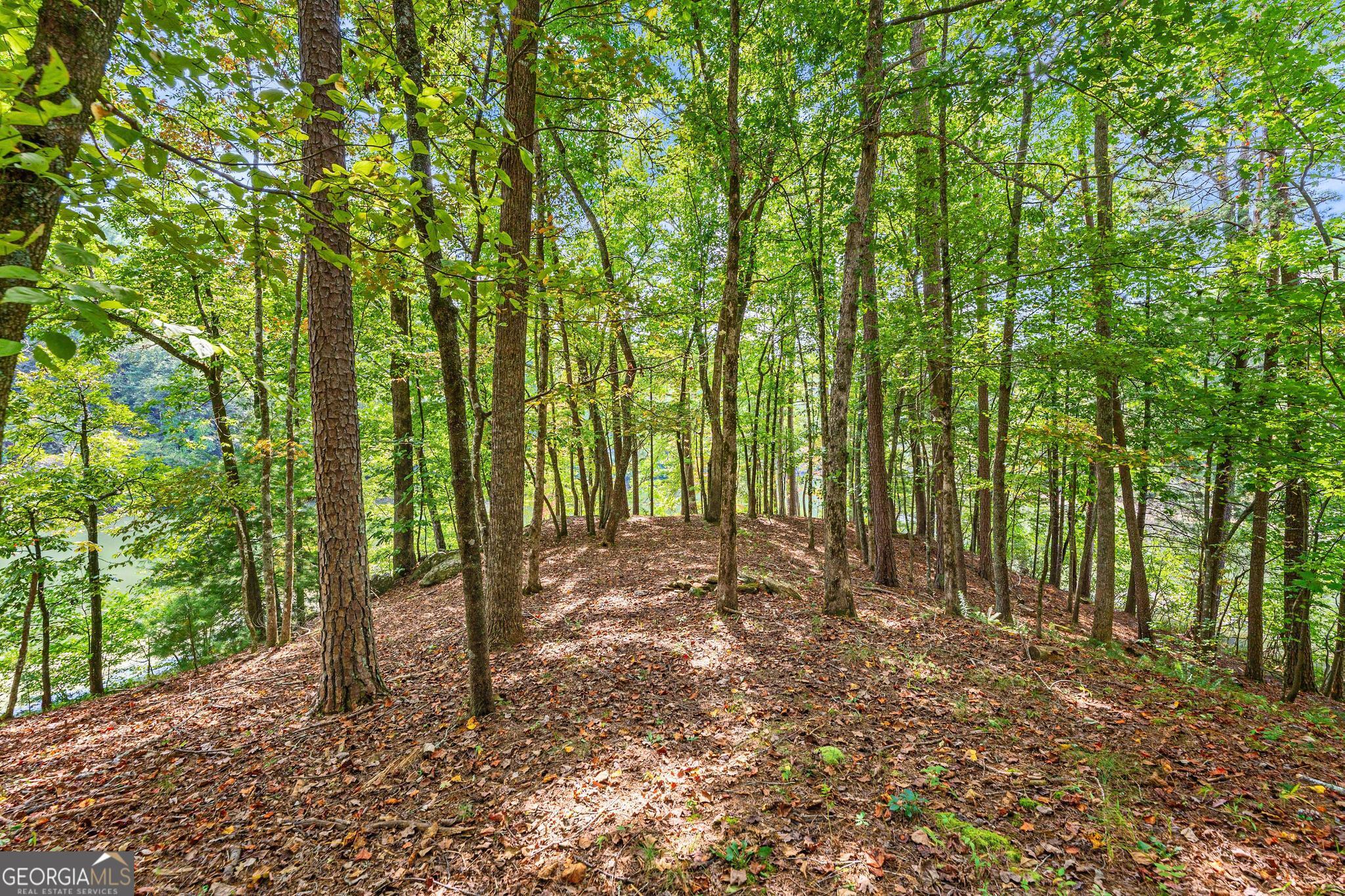 1127 Sautee Trail Sautee Nacoochee GA 30571