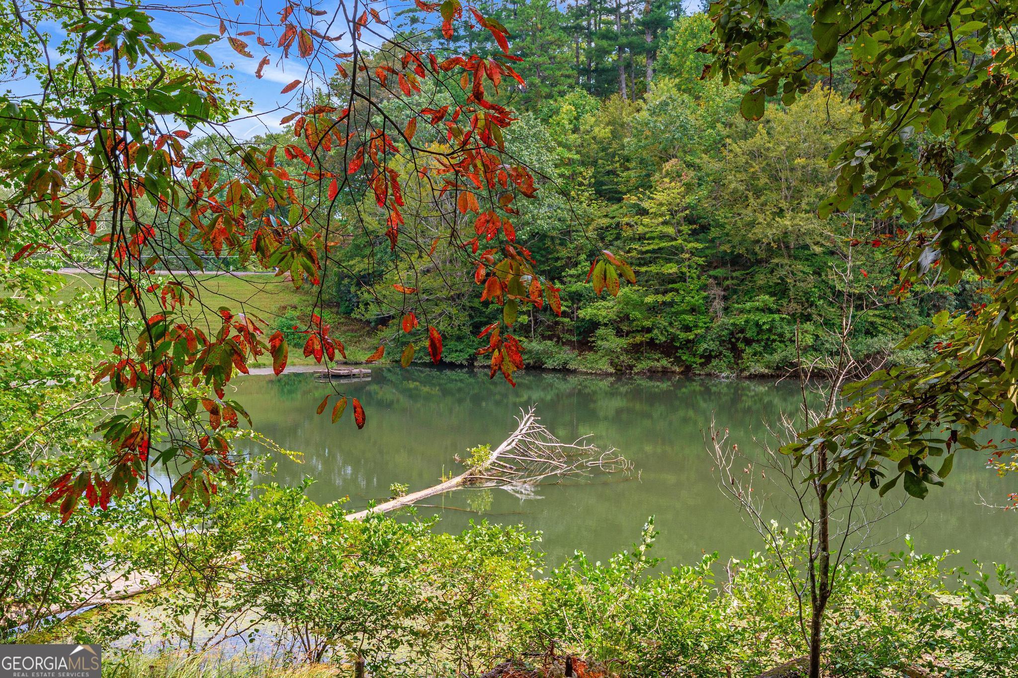 1127 Sautee Trail Sautee Nacoochee GA 30571