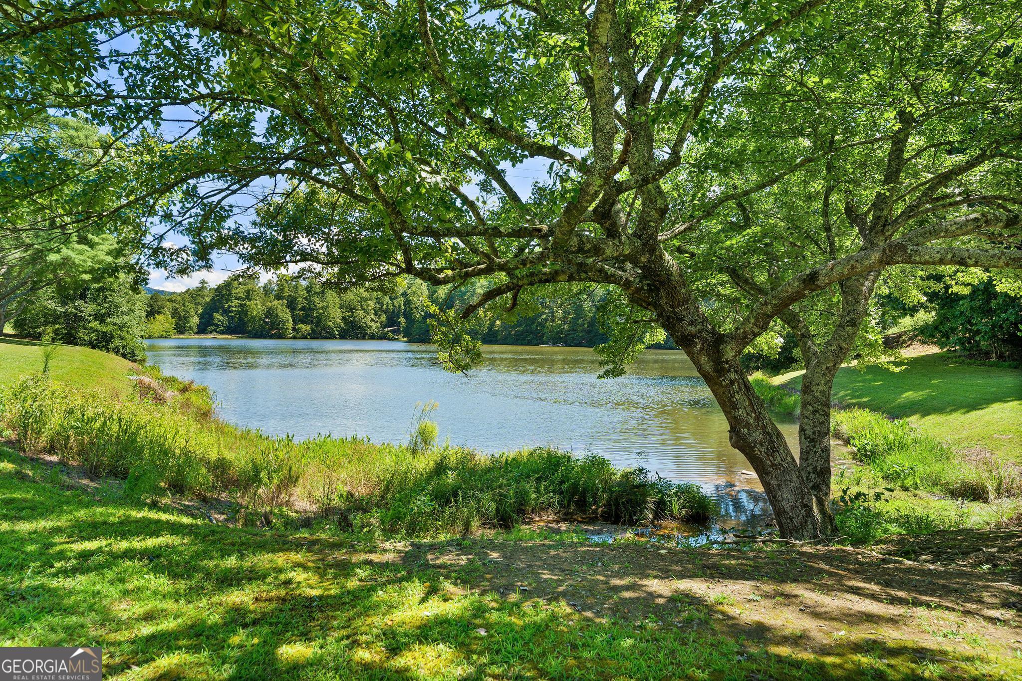 1127 Sautee Trail Sautee Nacoochee GA 30571