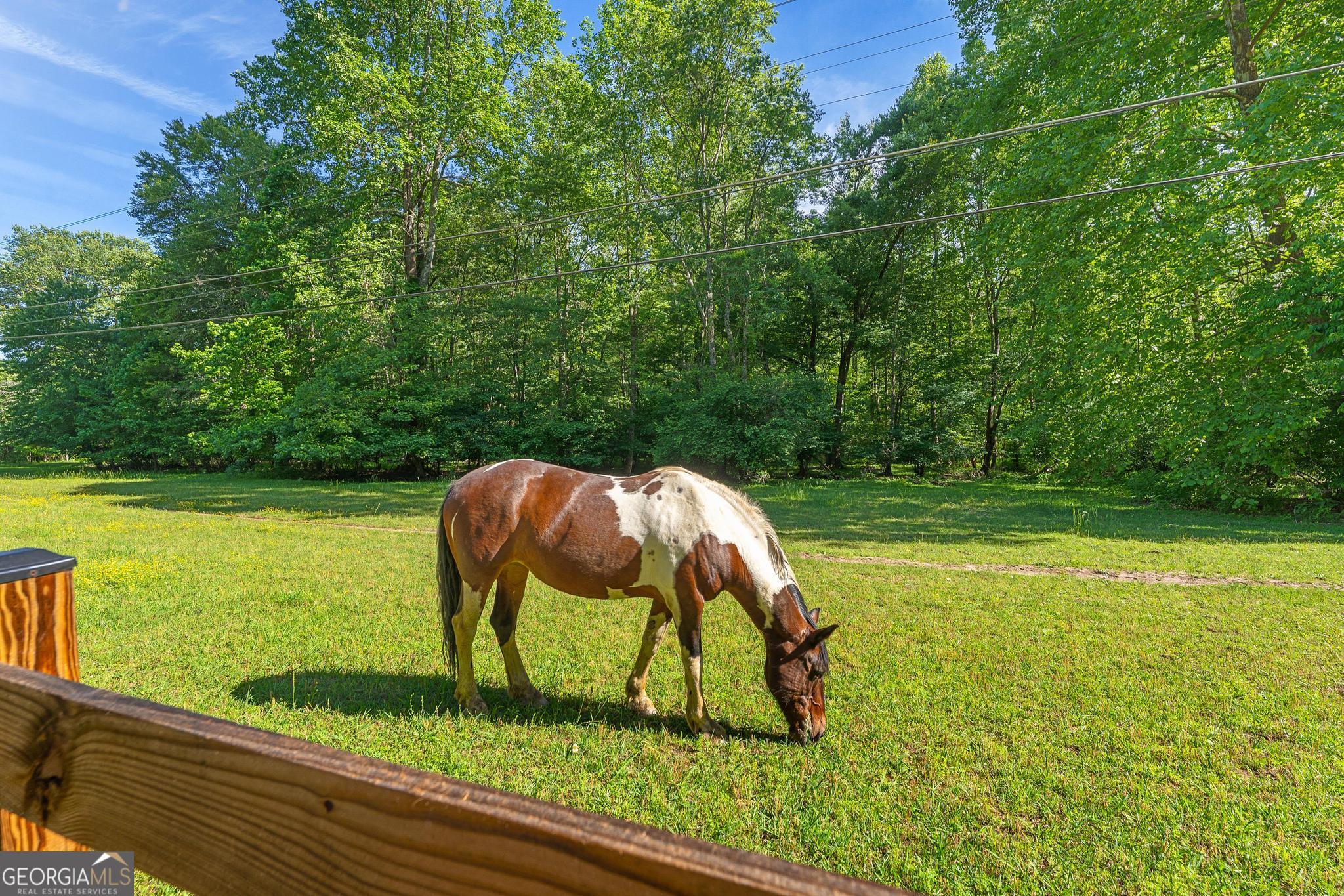 1127 Sautee Trail Sautee Nacoochee GA 30571