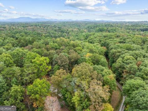 38 Sweetwater Trail Epworth GA 30541