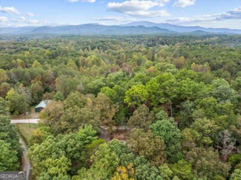 38 Sweetwater Trail Epworth GA 30541