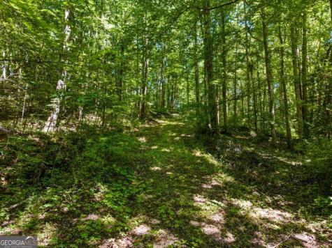 51 Haddock Drive Blue Ridge GA 30513