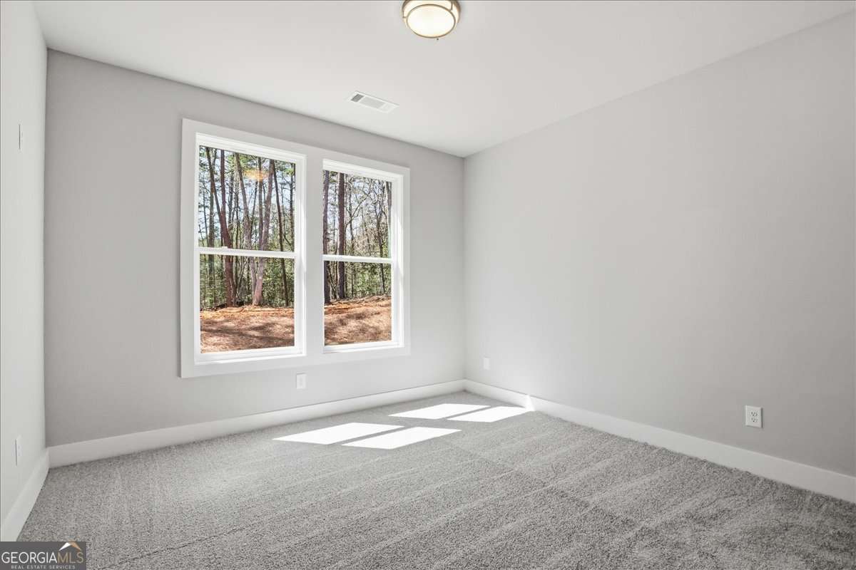 196 Red June Lane Clarkesville GA 30523
