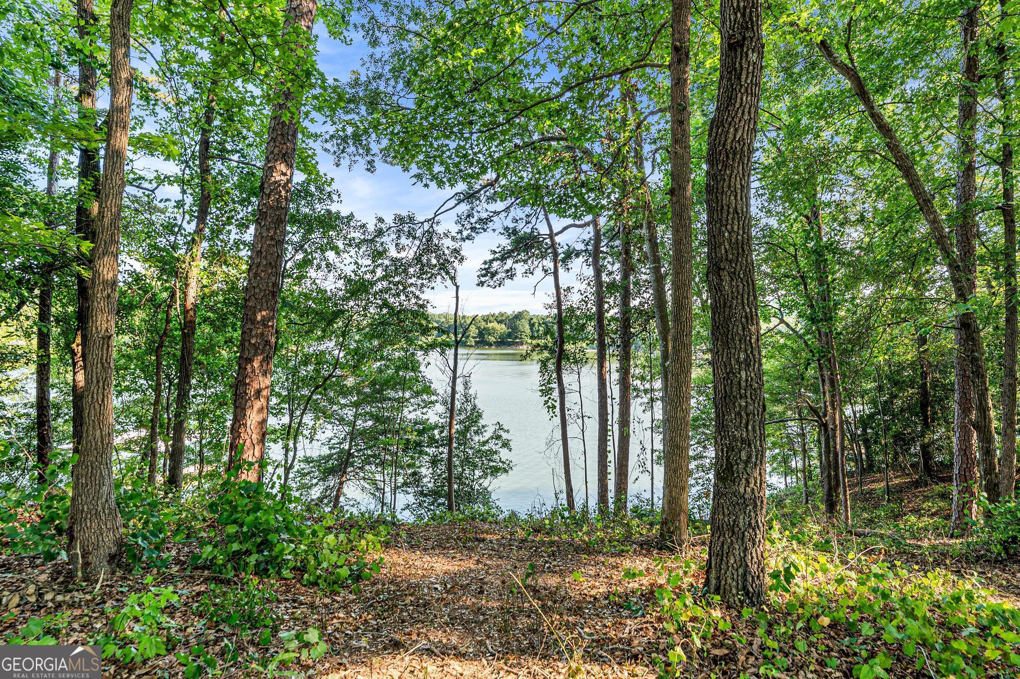 182 Cherry Rose Lane Hartwell GA 30643