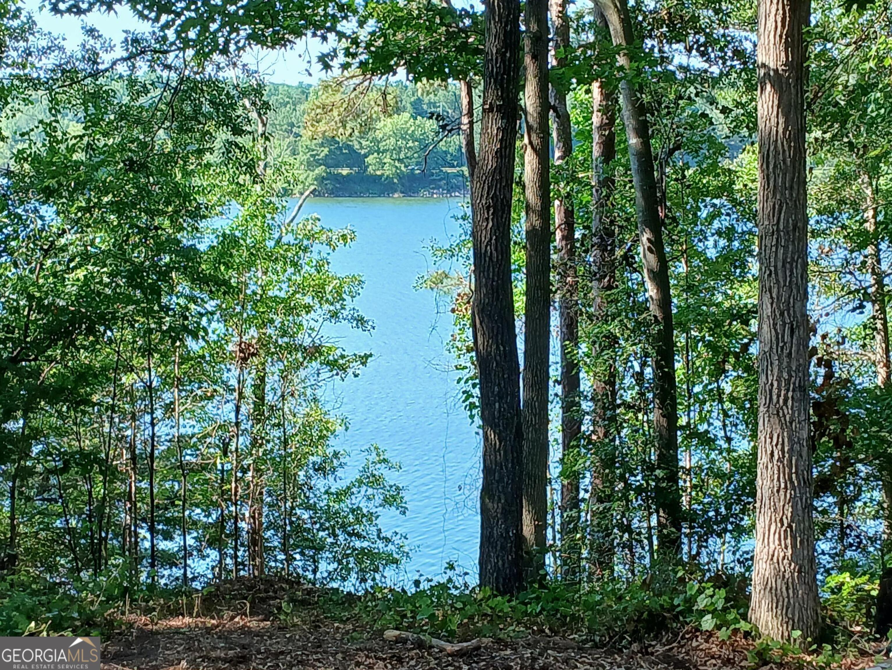182 Cherry Rose Lane Hartwell GA 30643