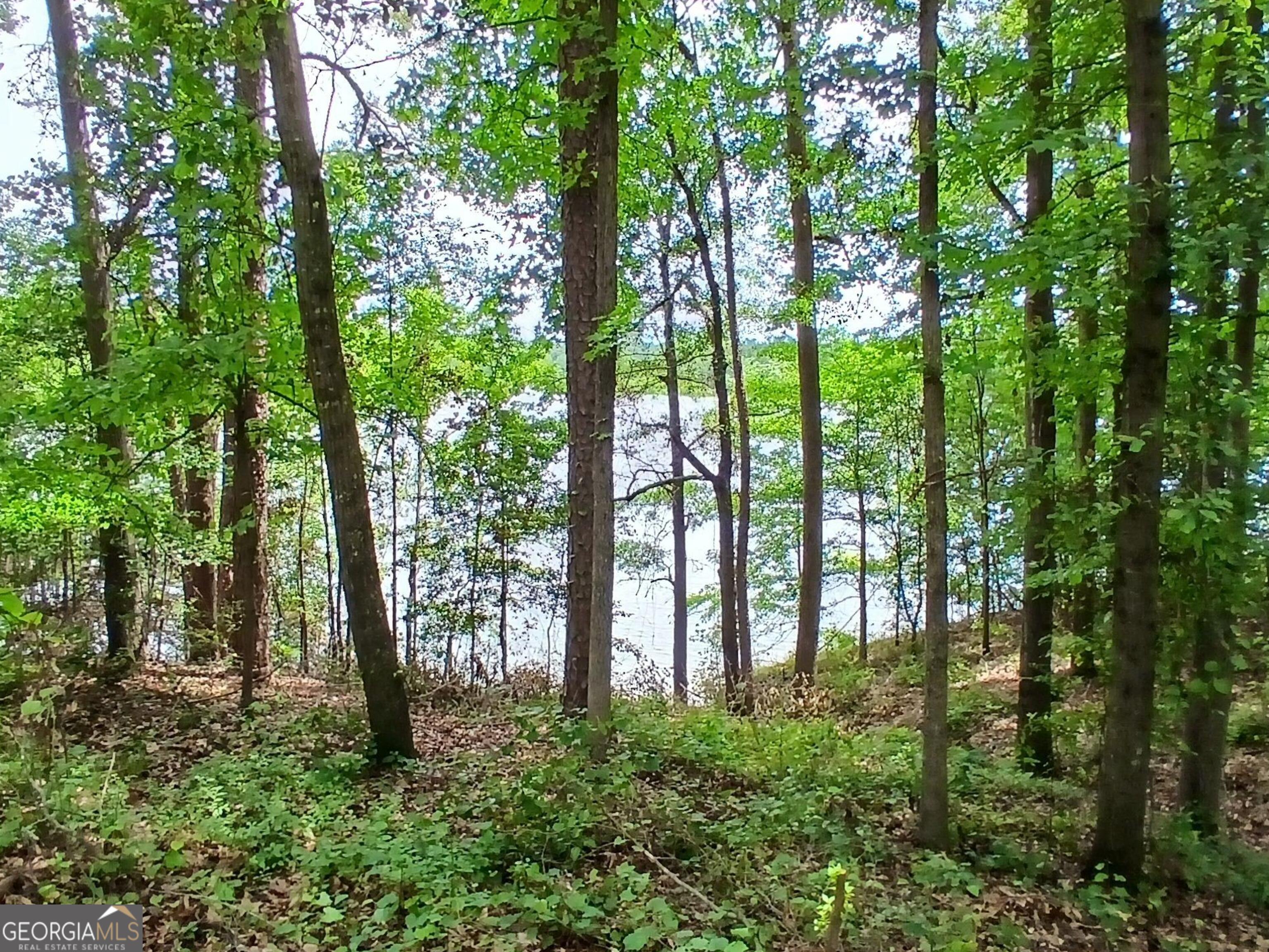 182 Cherry Rose Lane Hartwell GA 30643