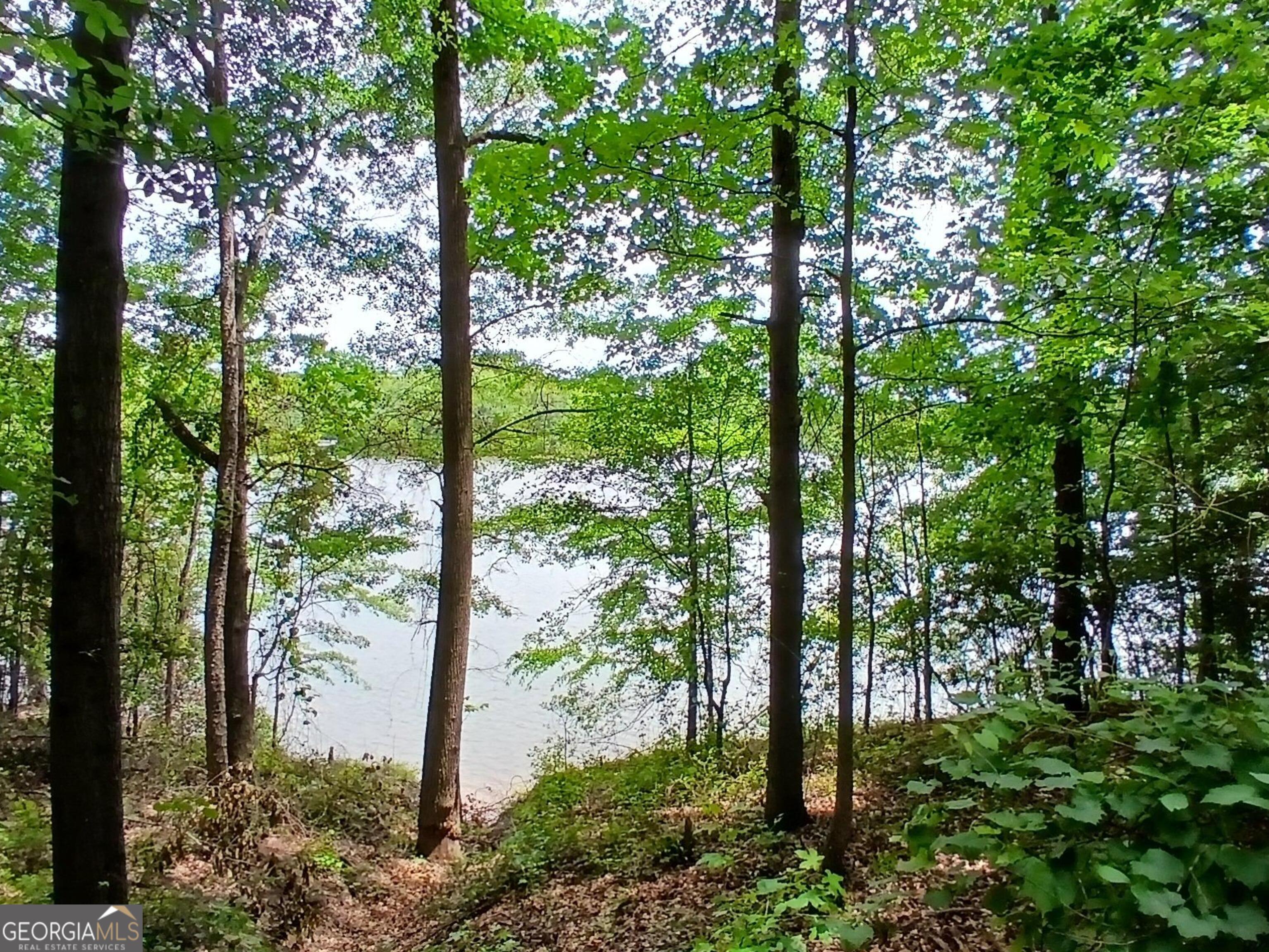 182 Cherry Rose Lane Hartwell GA 30643