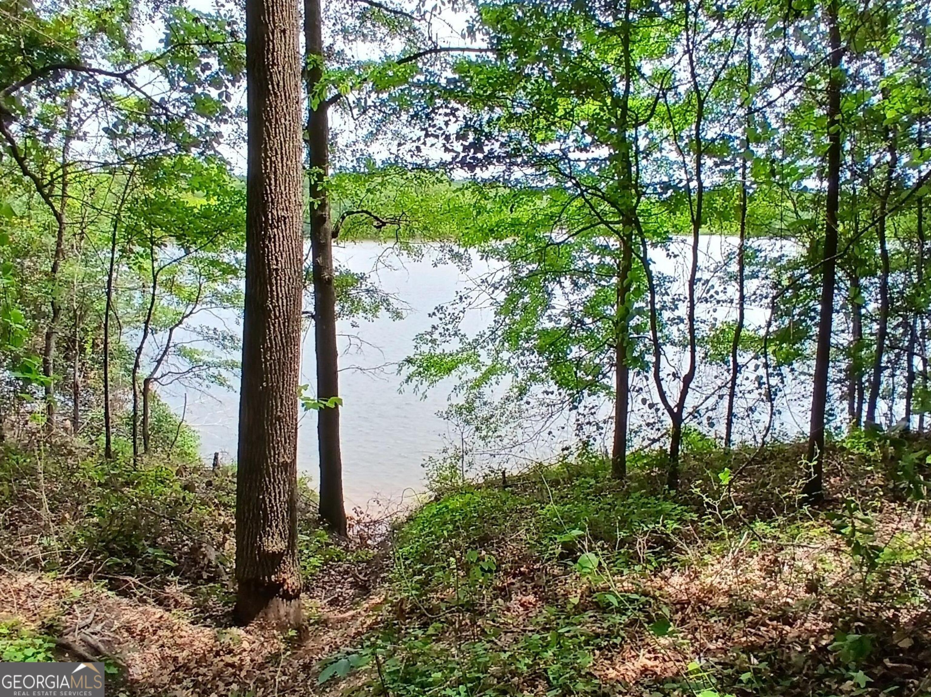 182 Cherry Rose Lane Hartwell GA 30643