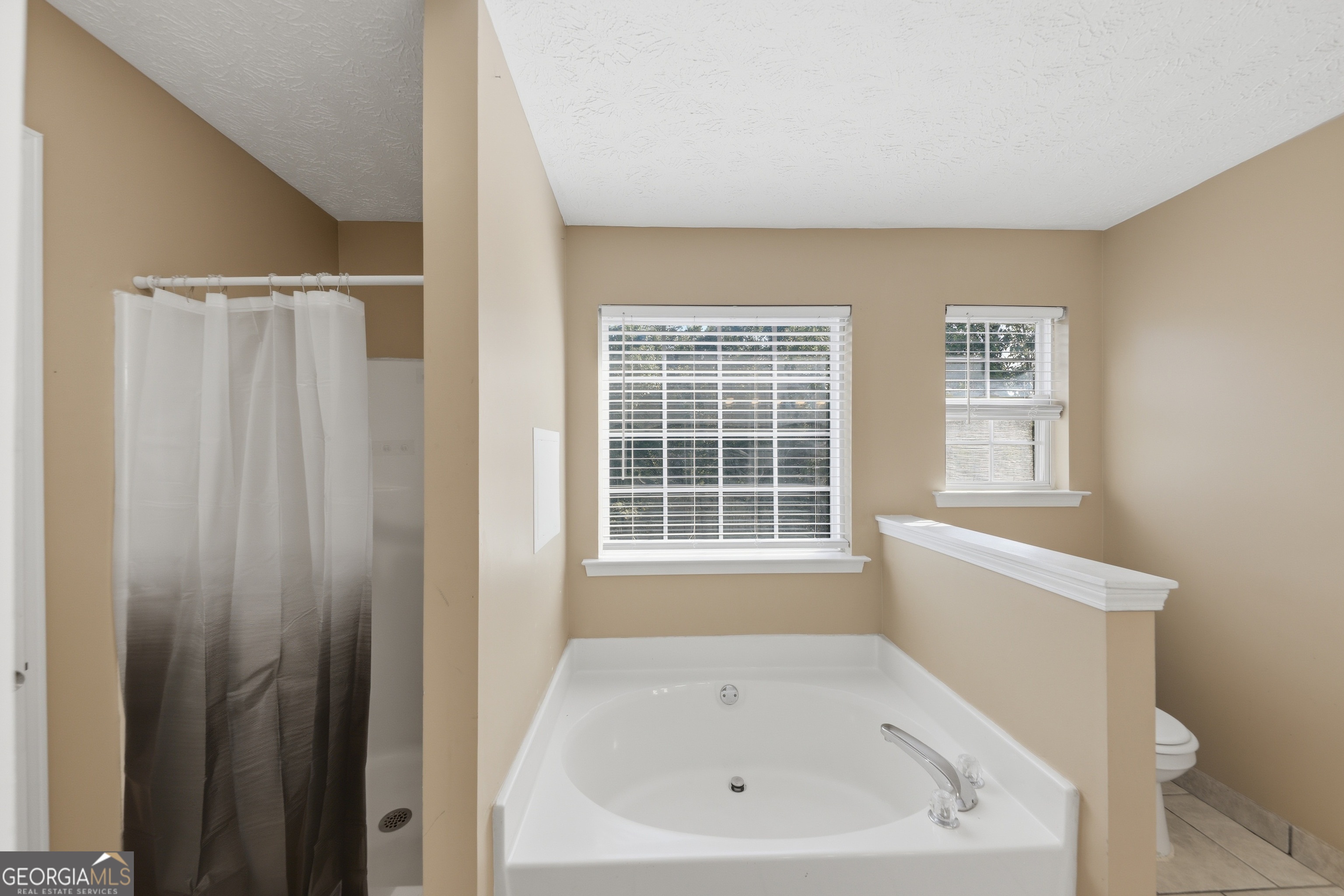 19 Kacey Court Powder Springs GA 30127
