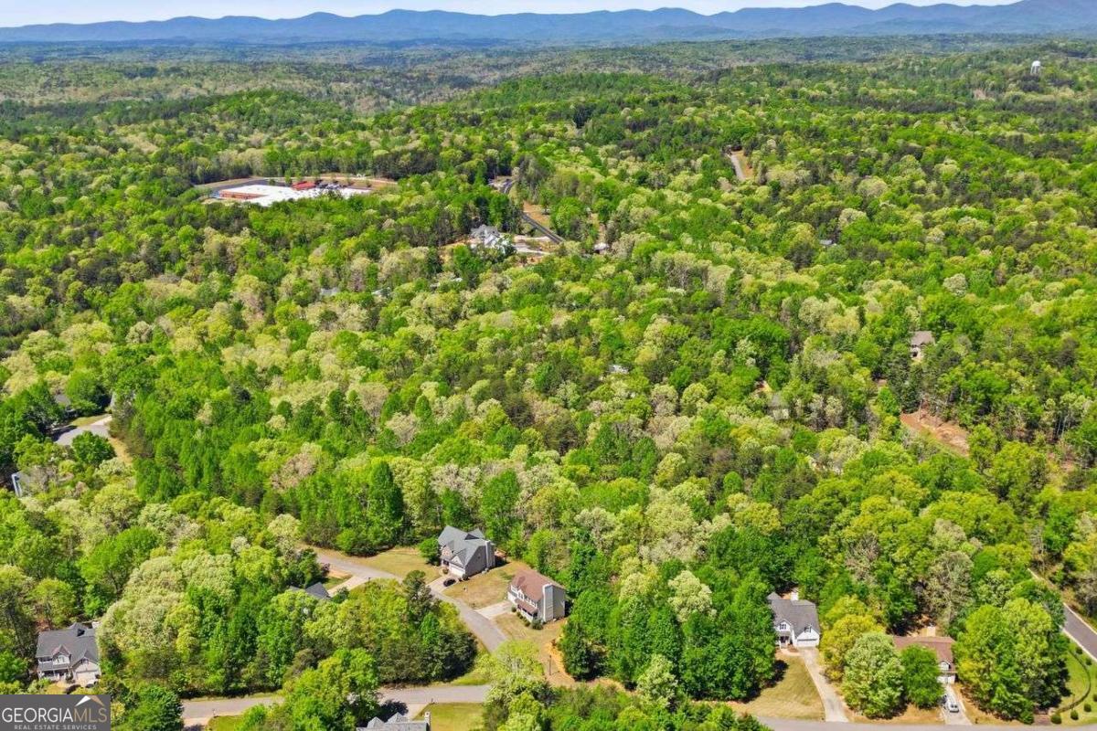 95 Kerns Ridge Court Dawsonville GA 30534