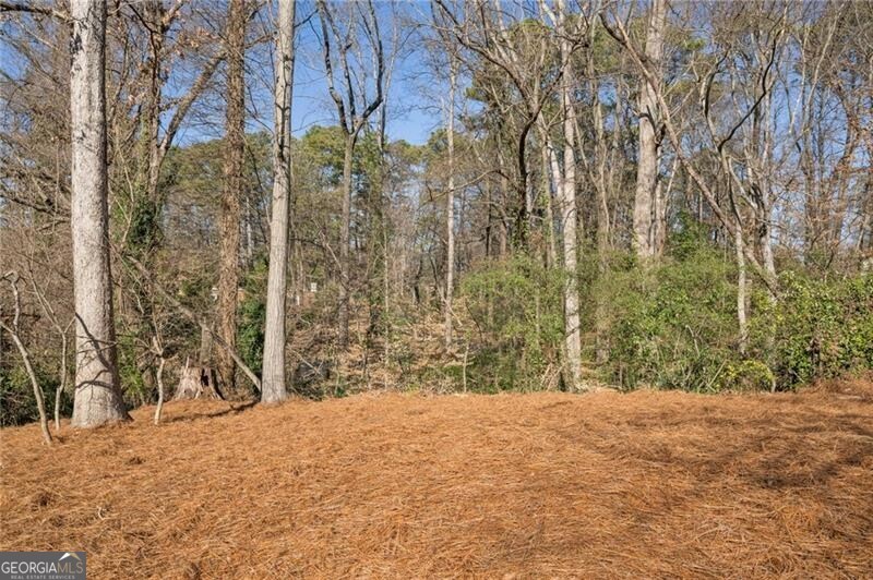 1062 Country Lane NE Atlanta GA 30324