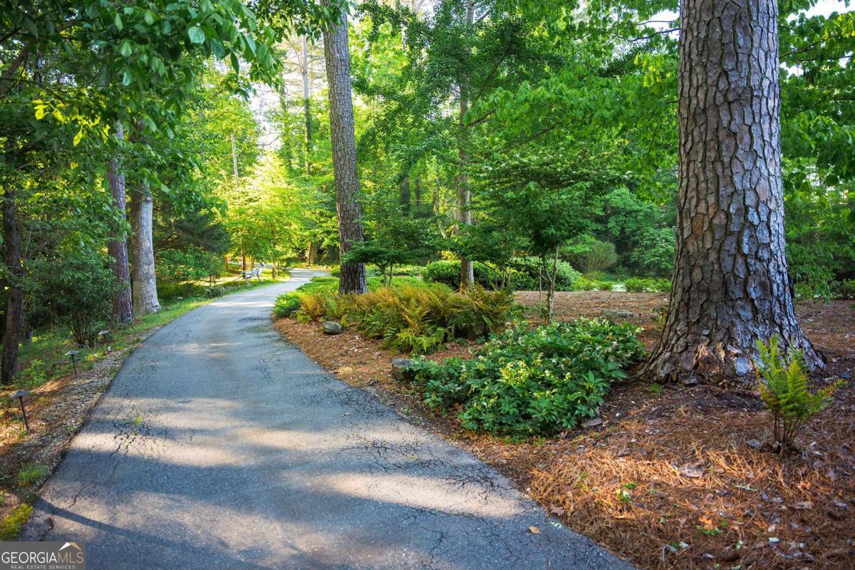 255 Plum Nelly Road Athens GA 30606