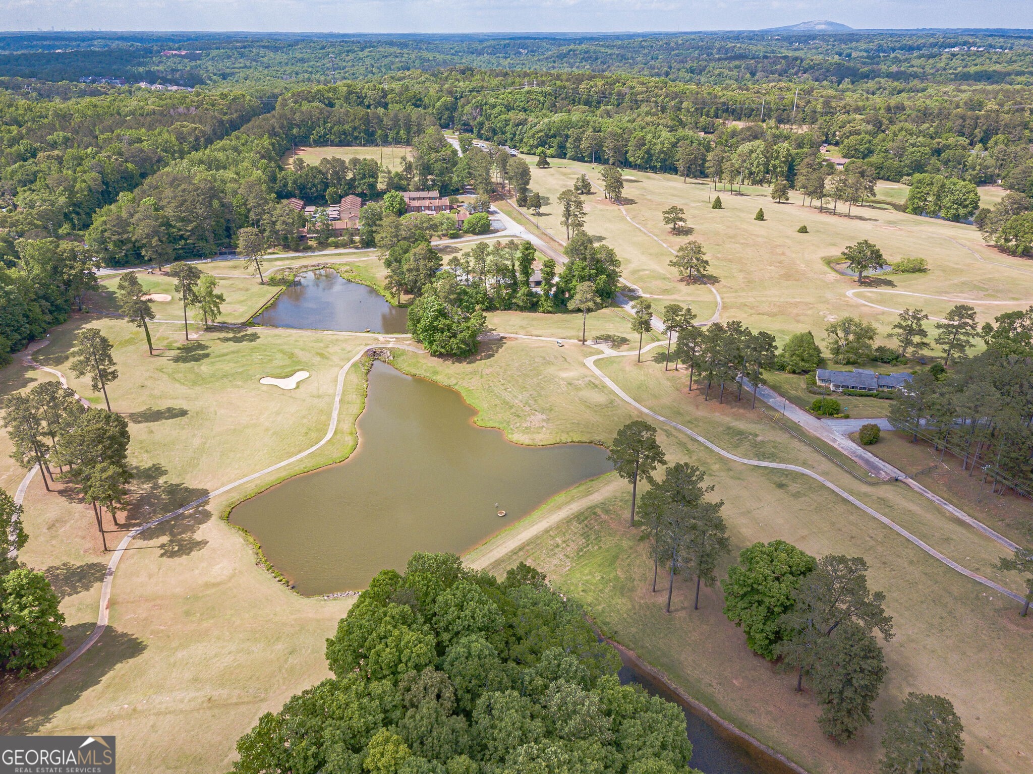 5817 Little Mountain Drive Ellenwood GA 30294