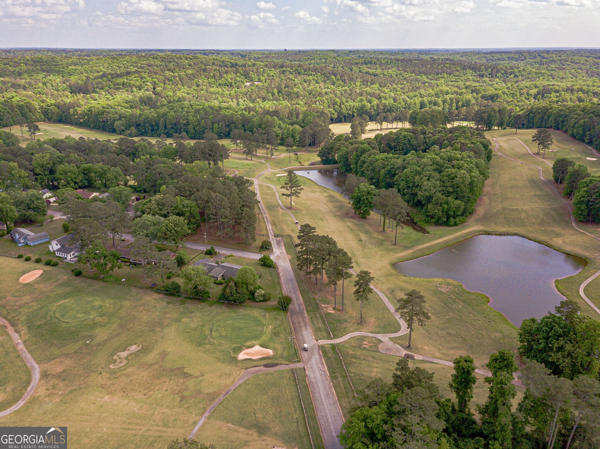 5817 Little Mountain Drive Ellenwood GA 30294