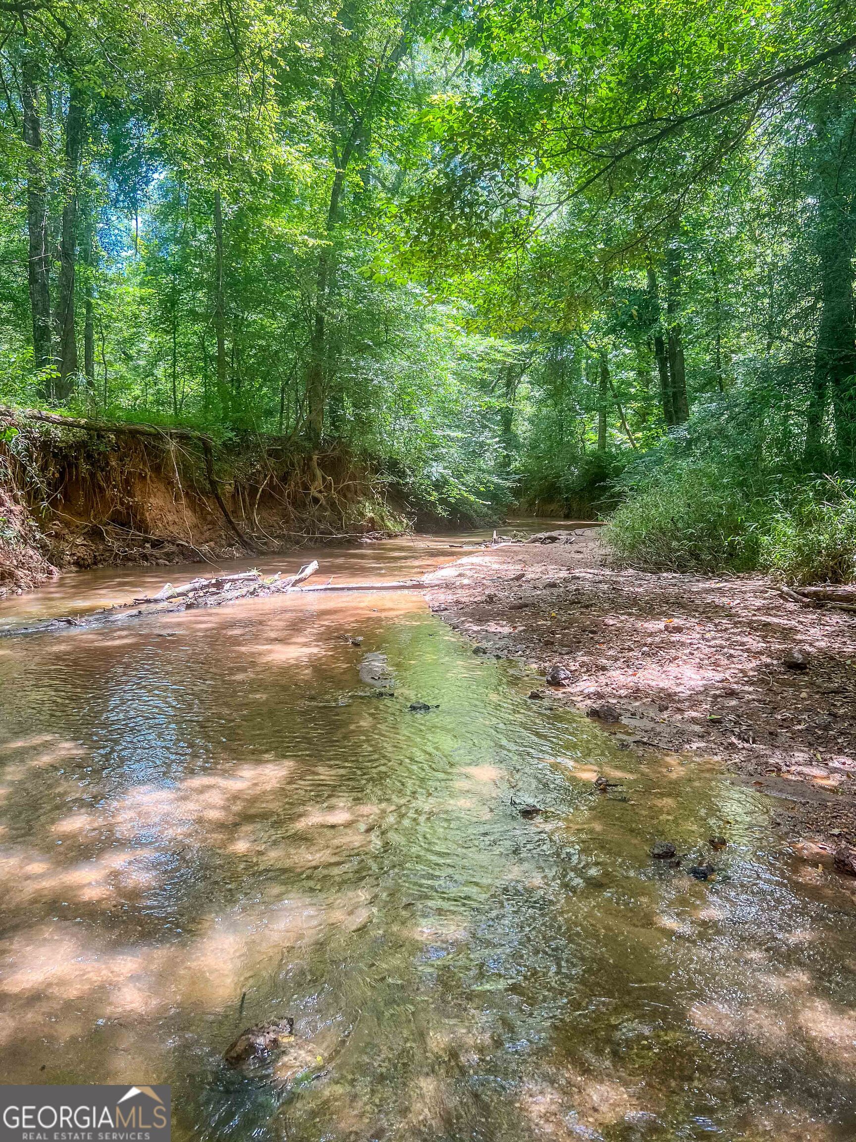 692 Hutchins Wolfskin Road Stephens GA 30667