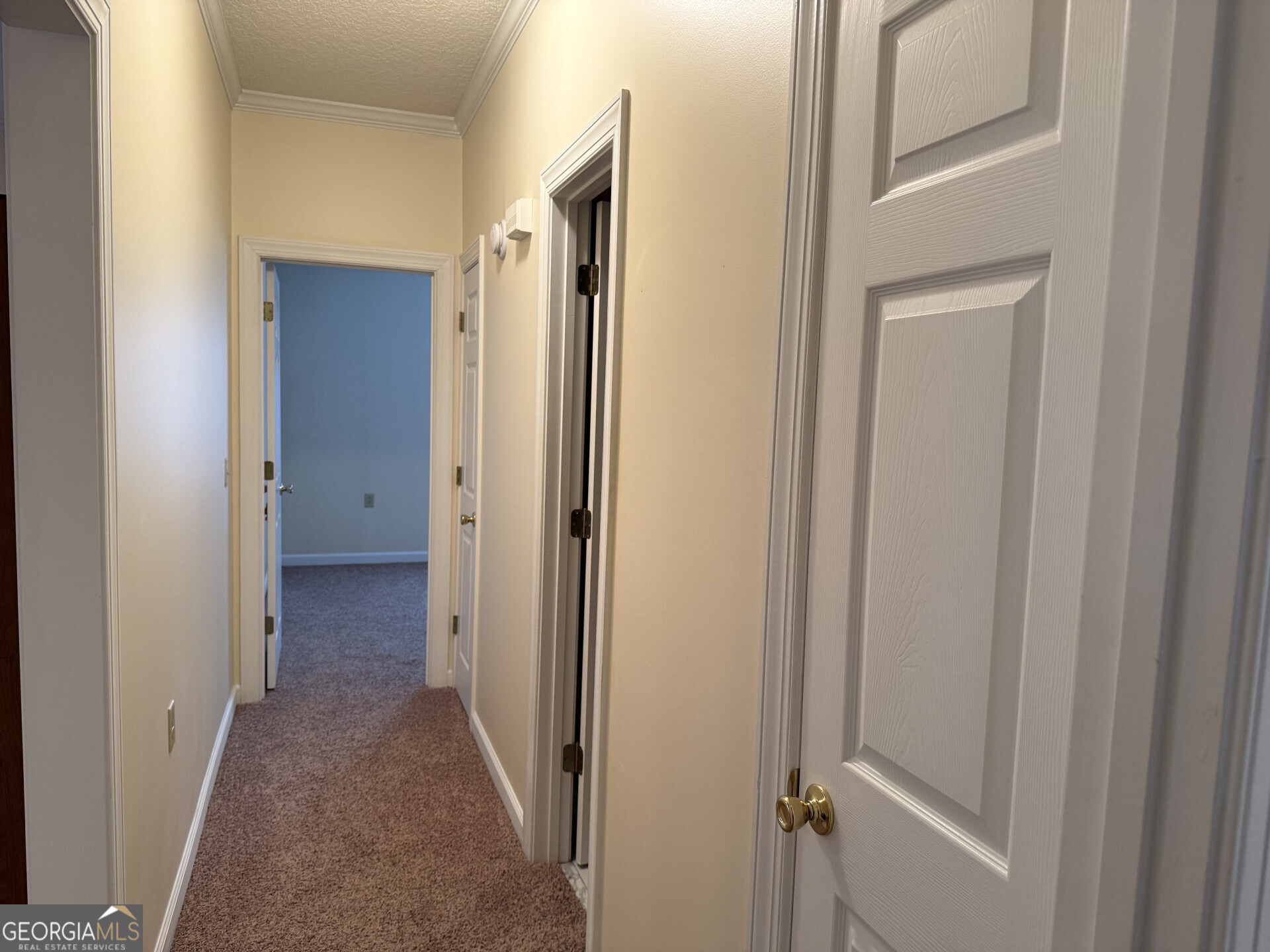 102 Oak Circle Glennville GA 30427