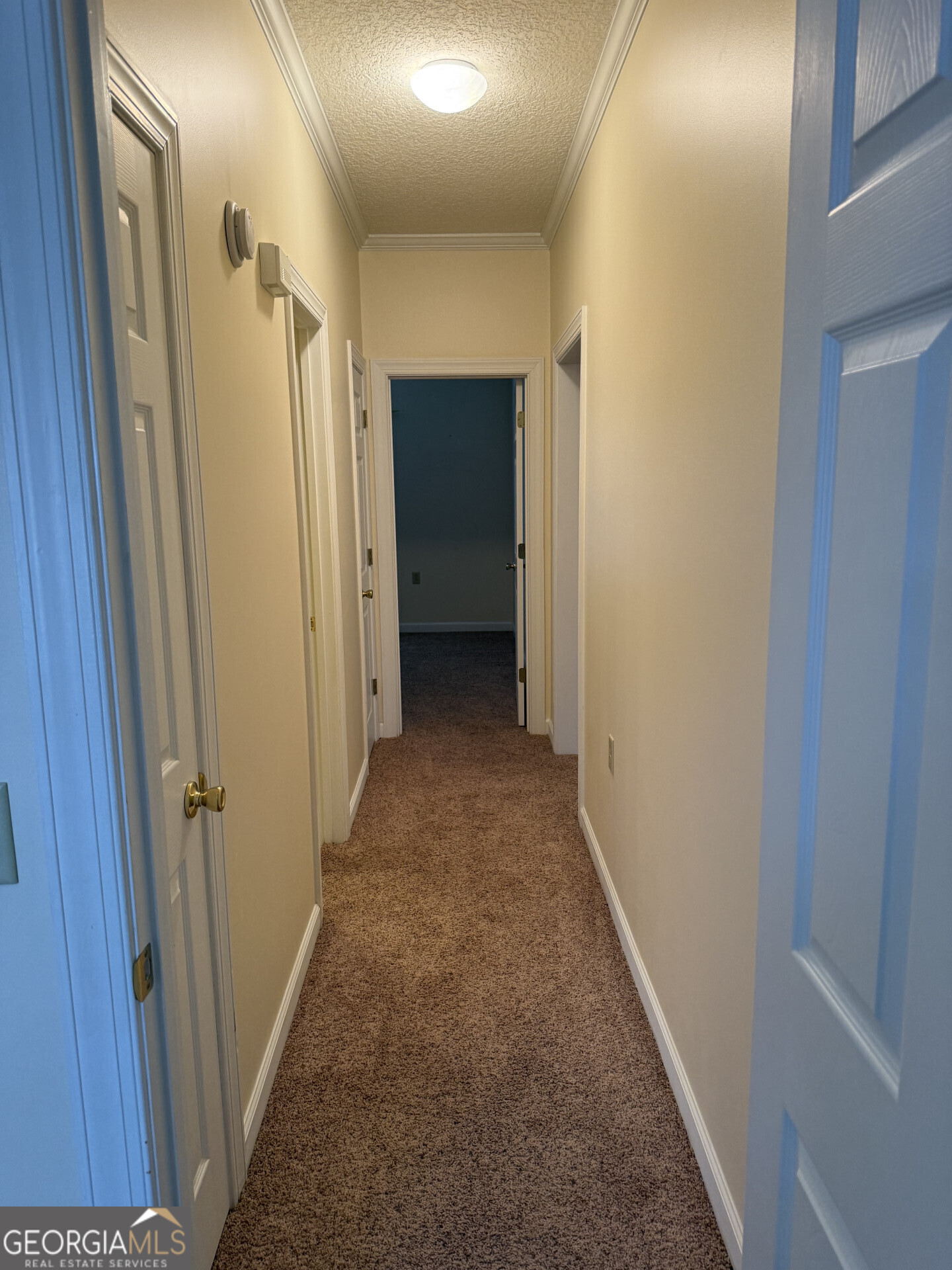 102 Oak Circle Glennville GA 30427