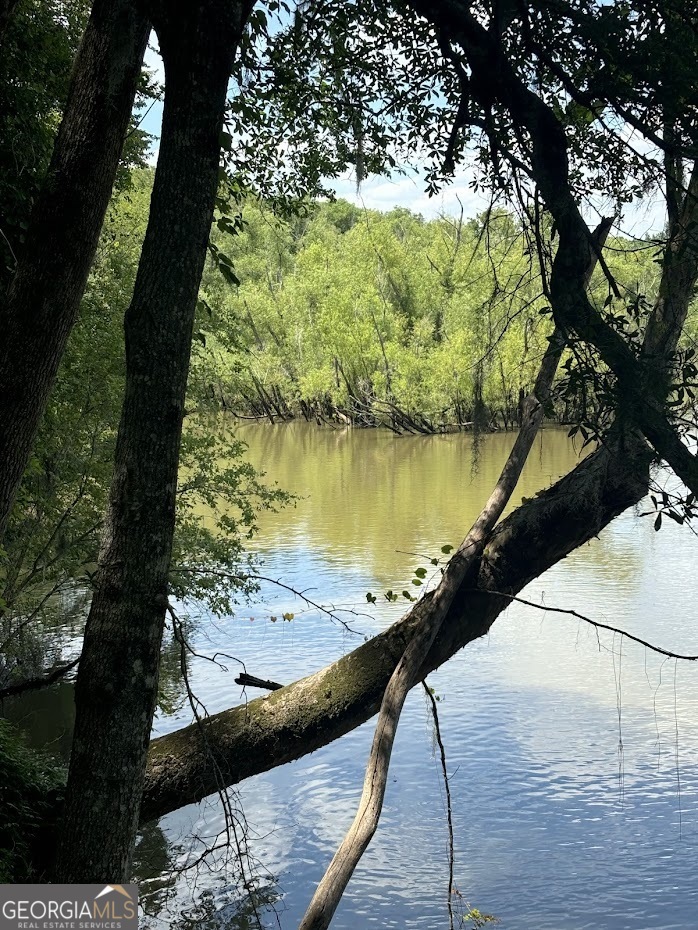 282 Tuckasee King Road Clyo GA 31303