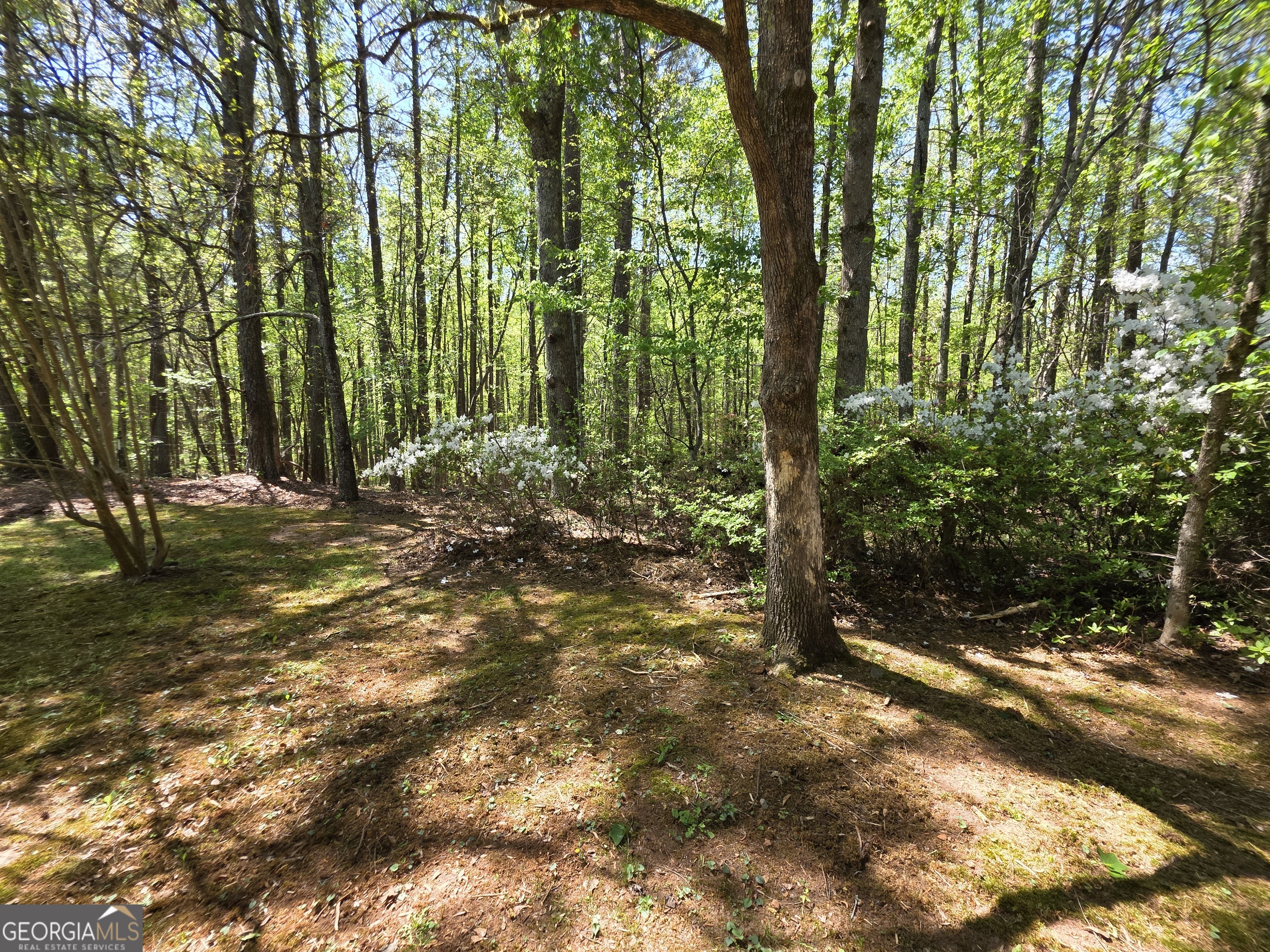 9120 Wilkerson Mill Road Chattahoochee Hills GA 30268